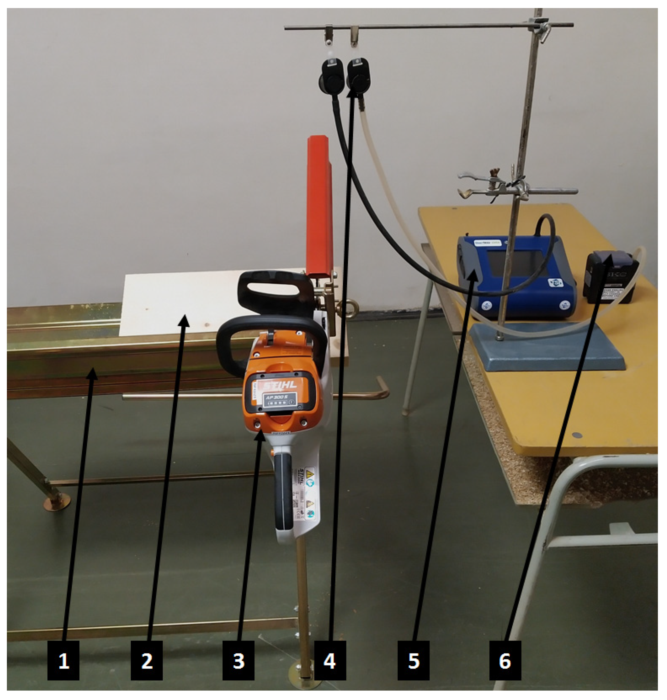 Forests 13 02009 g001