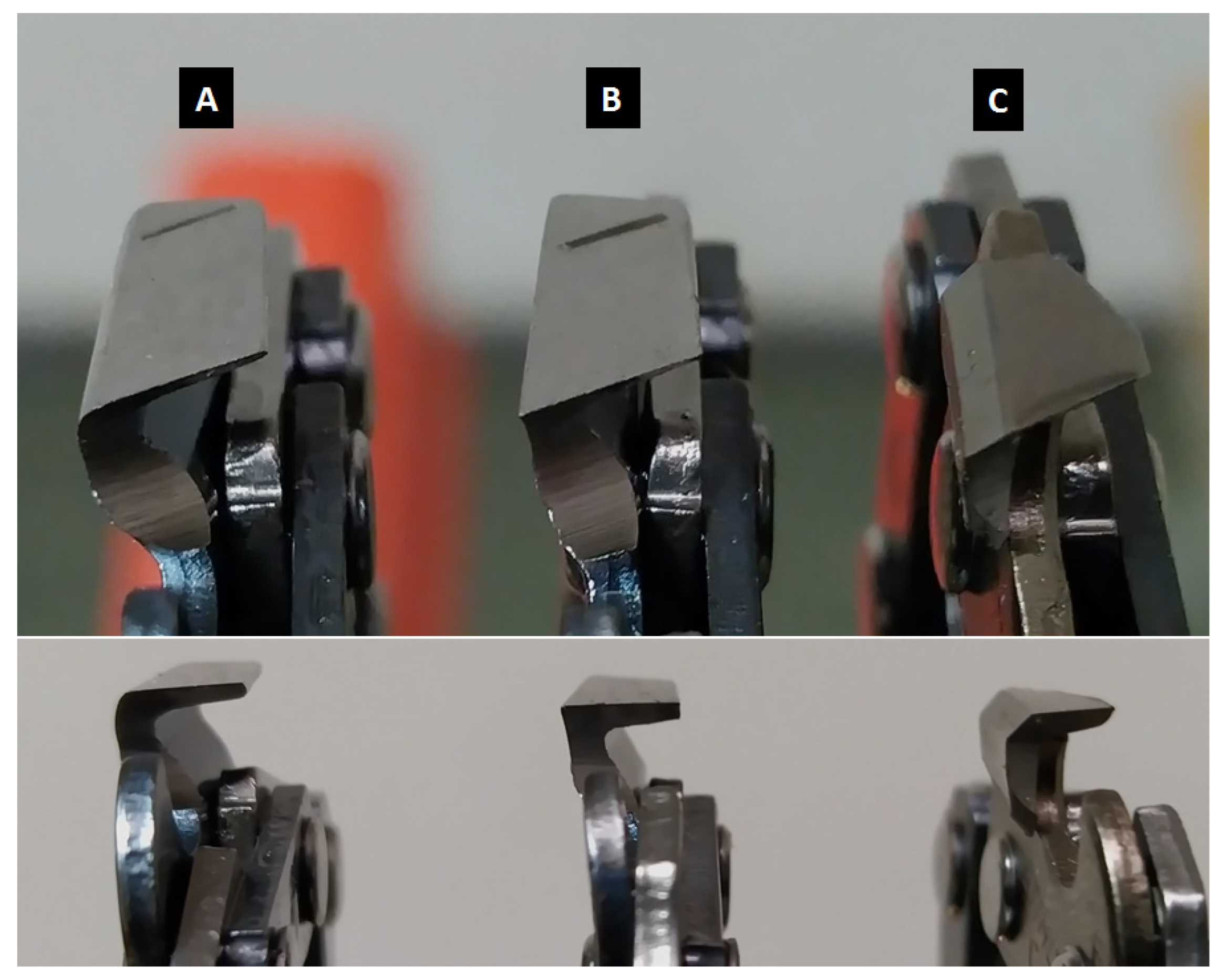 Forests 13 02009 g002