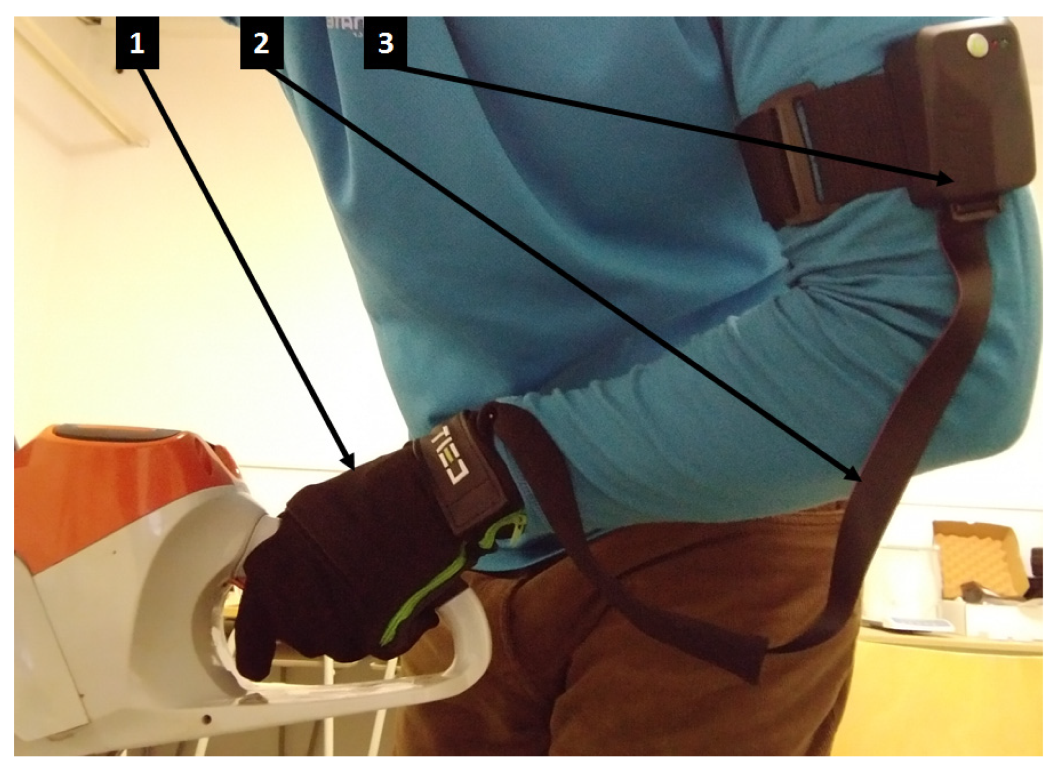 Forests 13 02009 g003