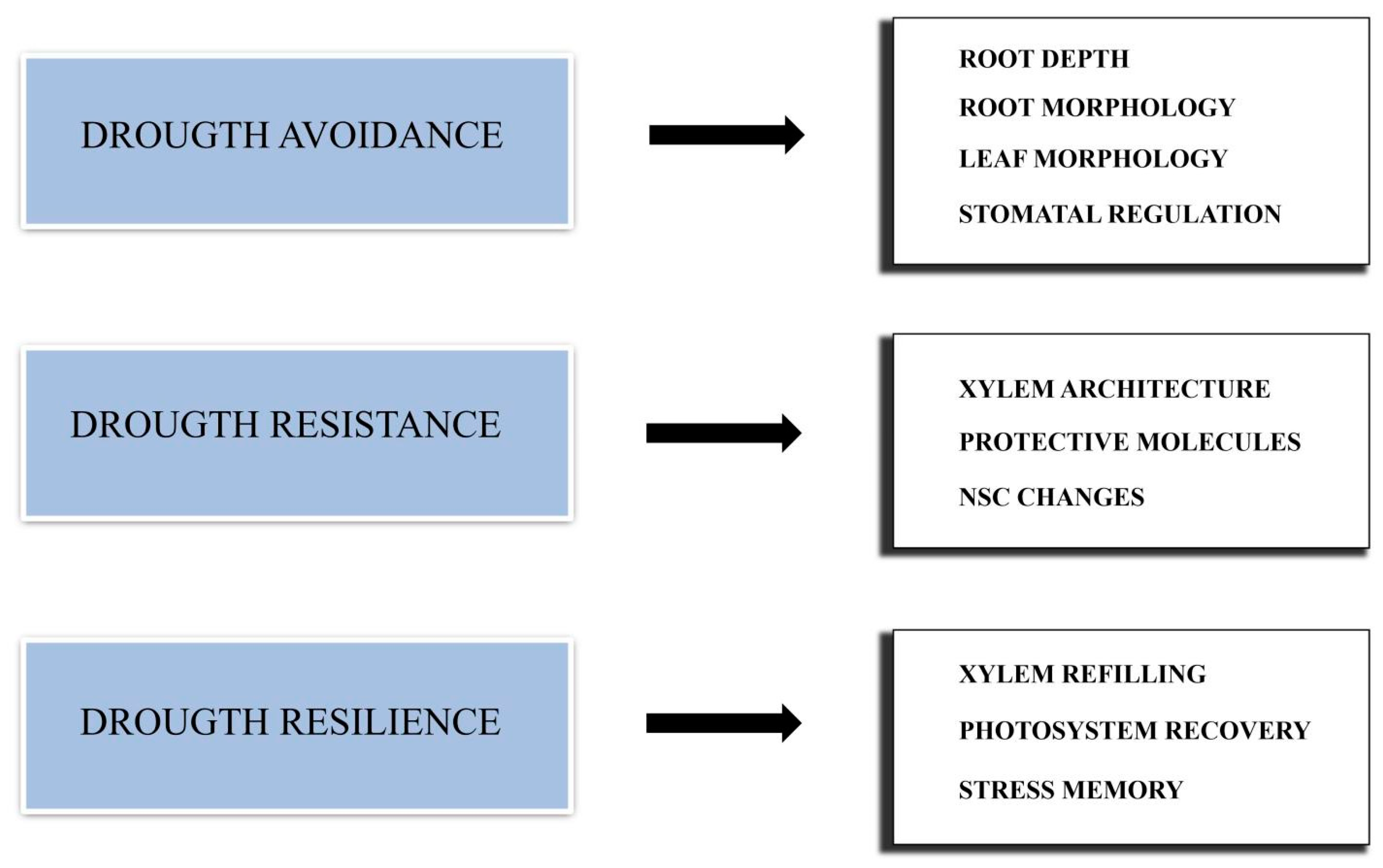 Forests 13 02016 g001 Forests 13 02016 g001