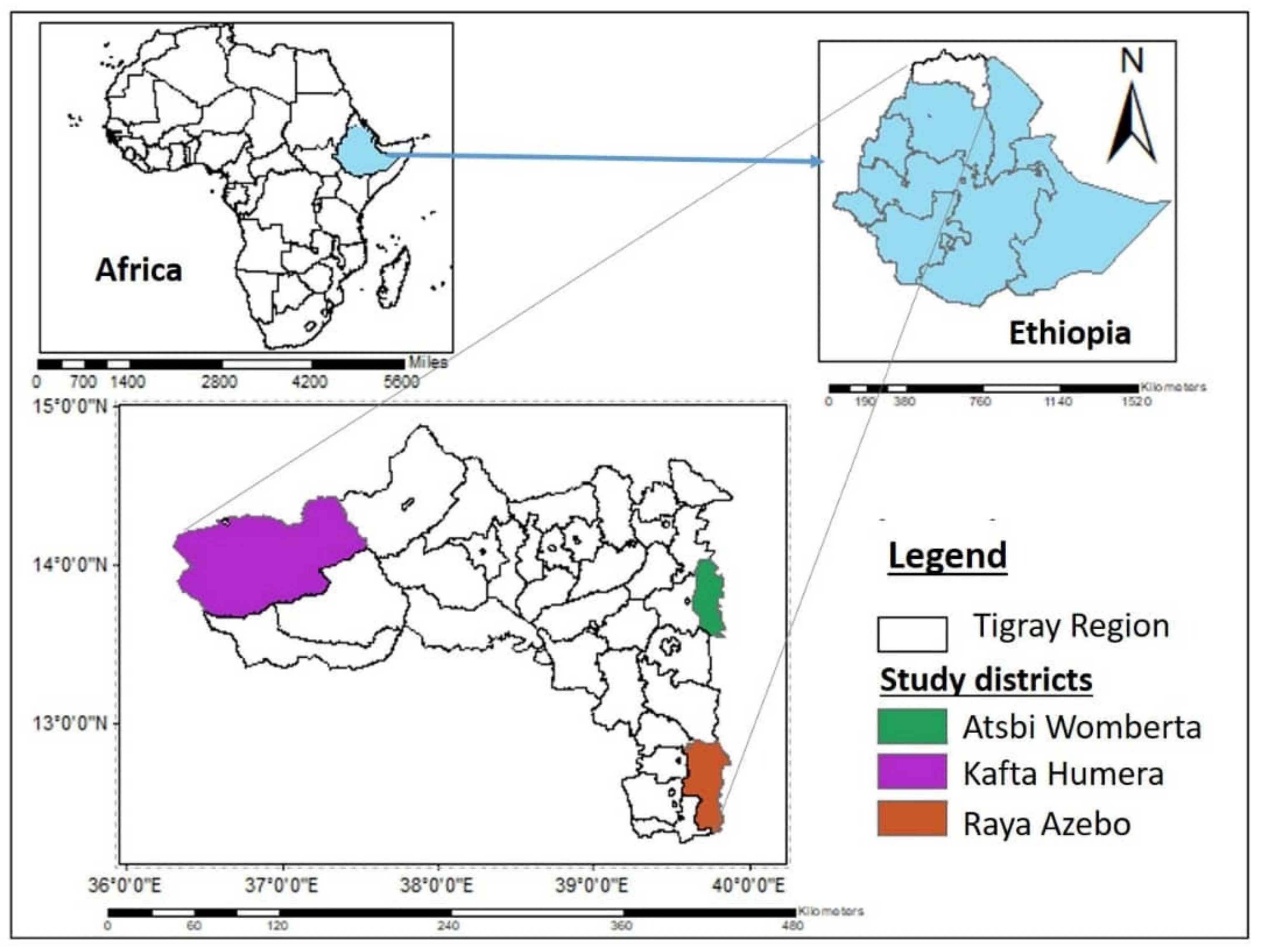 Forests 13 02026 g001