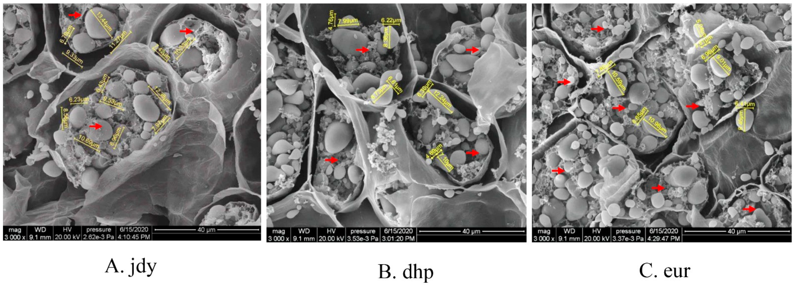 Forests 13 02028 g002 Forests 13 02028 g002