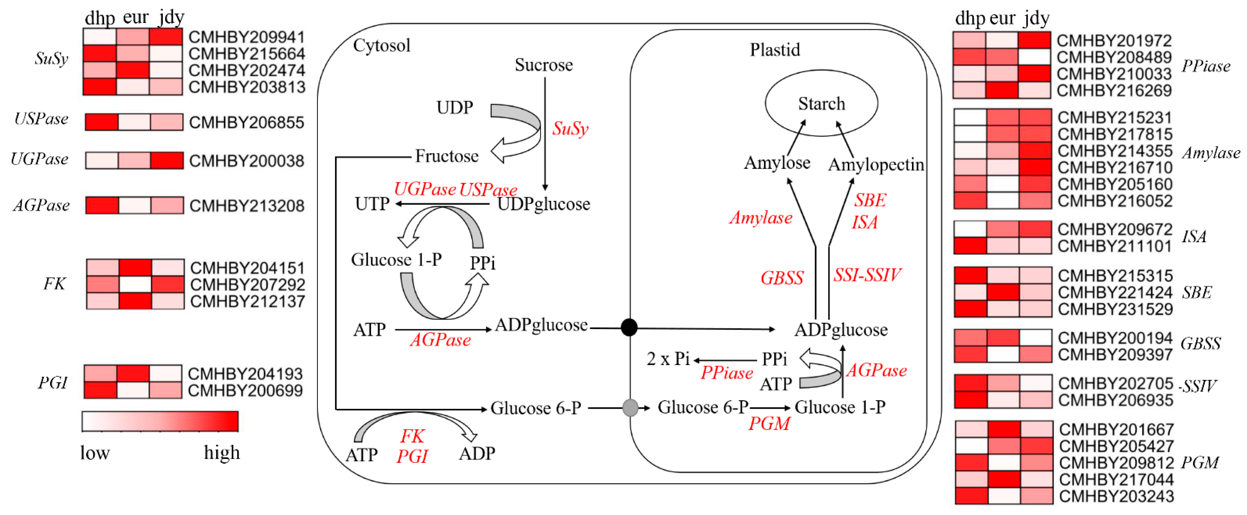 Forests 13 02028 g006 Forests 13 02028 g006