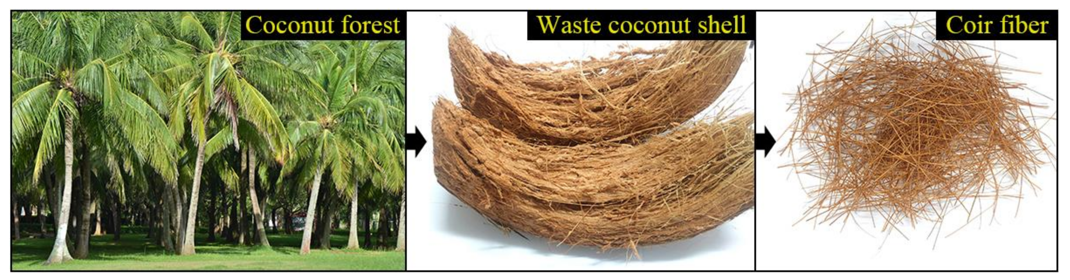 Forests 13 02033 g001 Forests 13 02033 g001