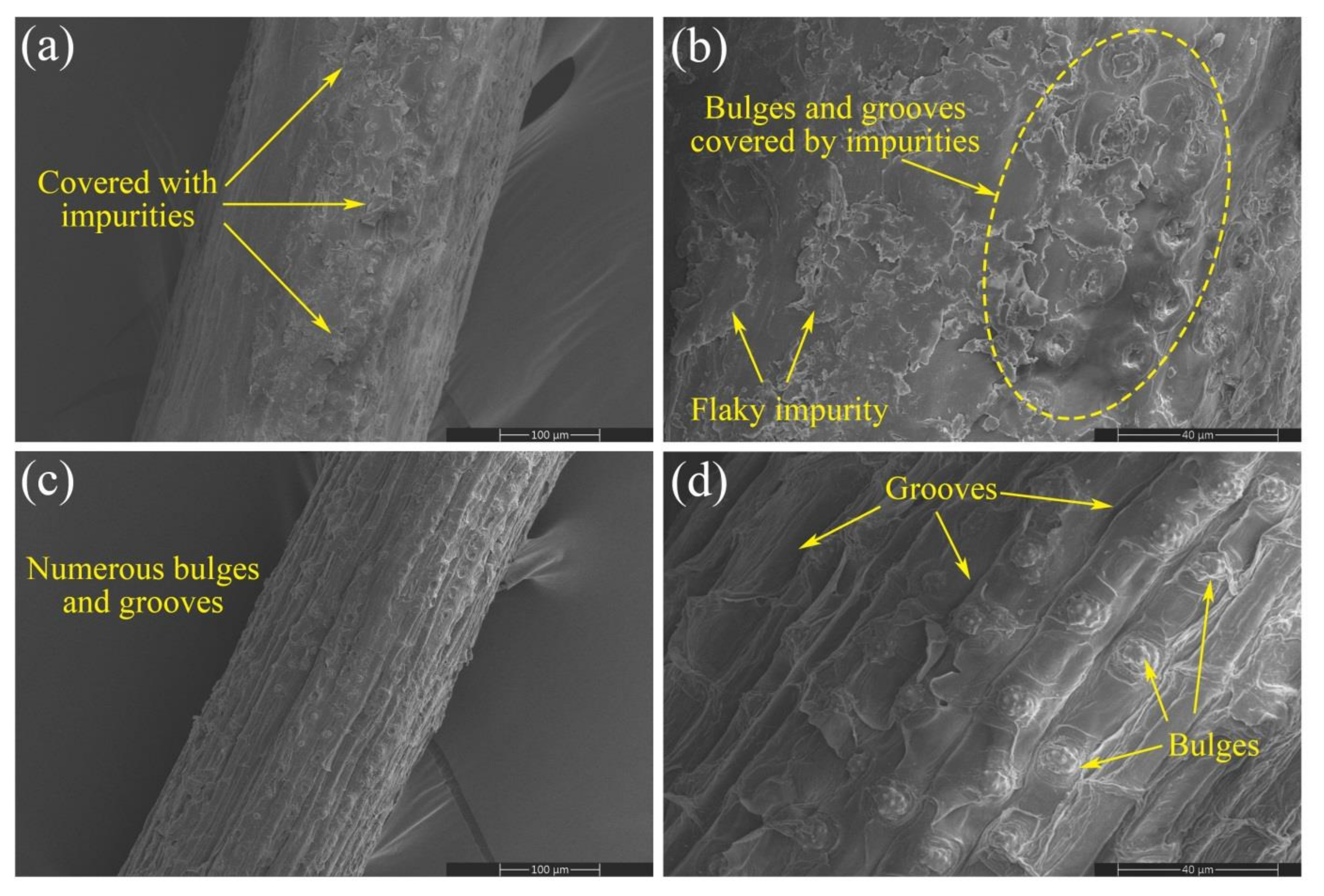 Forests 13 02033 g010 Forests 13 02033 g010
