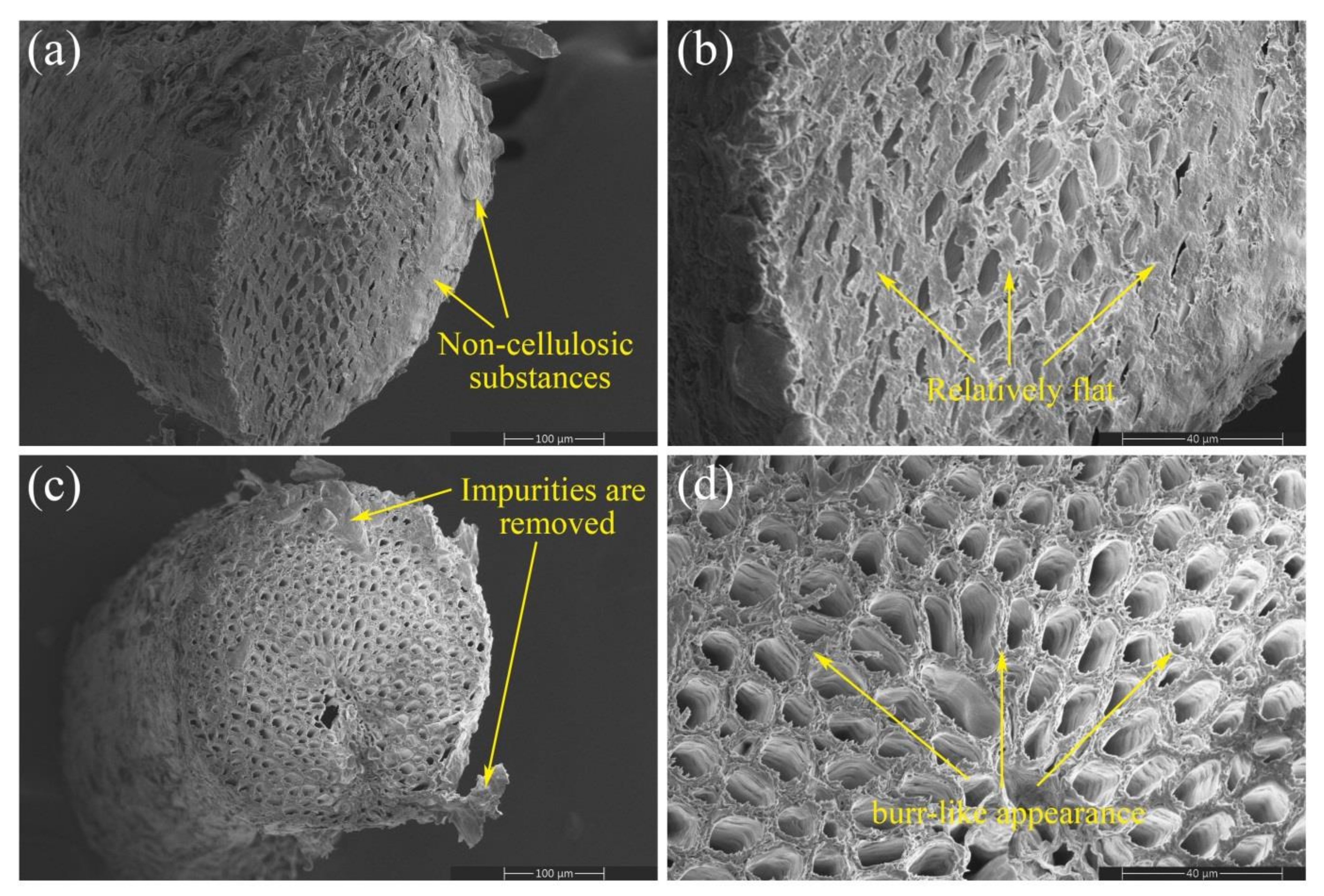 Forests 13 02033 g011 Forests 13 02033 g011