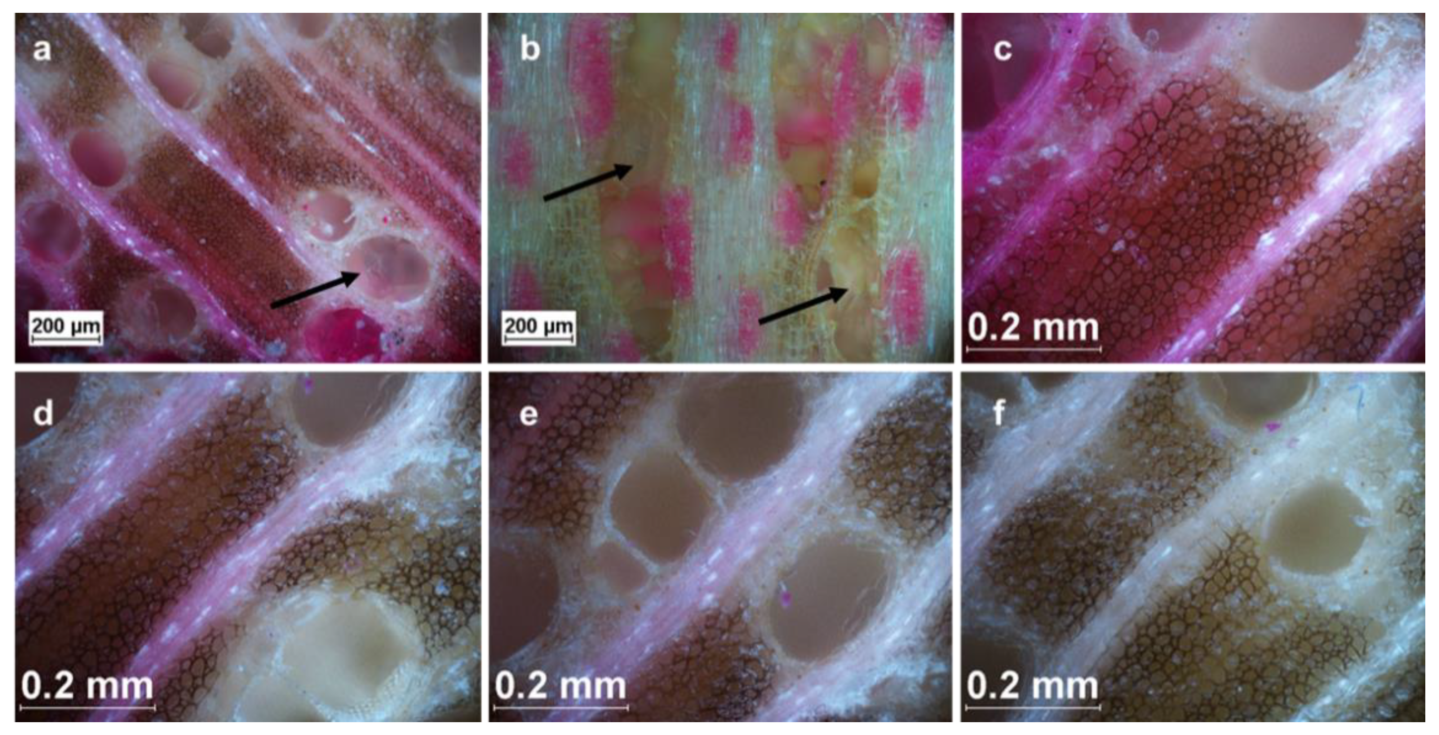 Forests 13 02036 g003 Forests 13 02036 g003