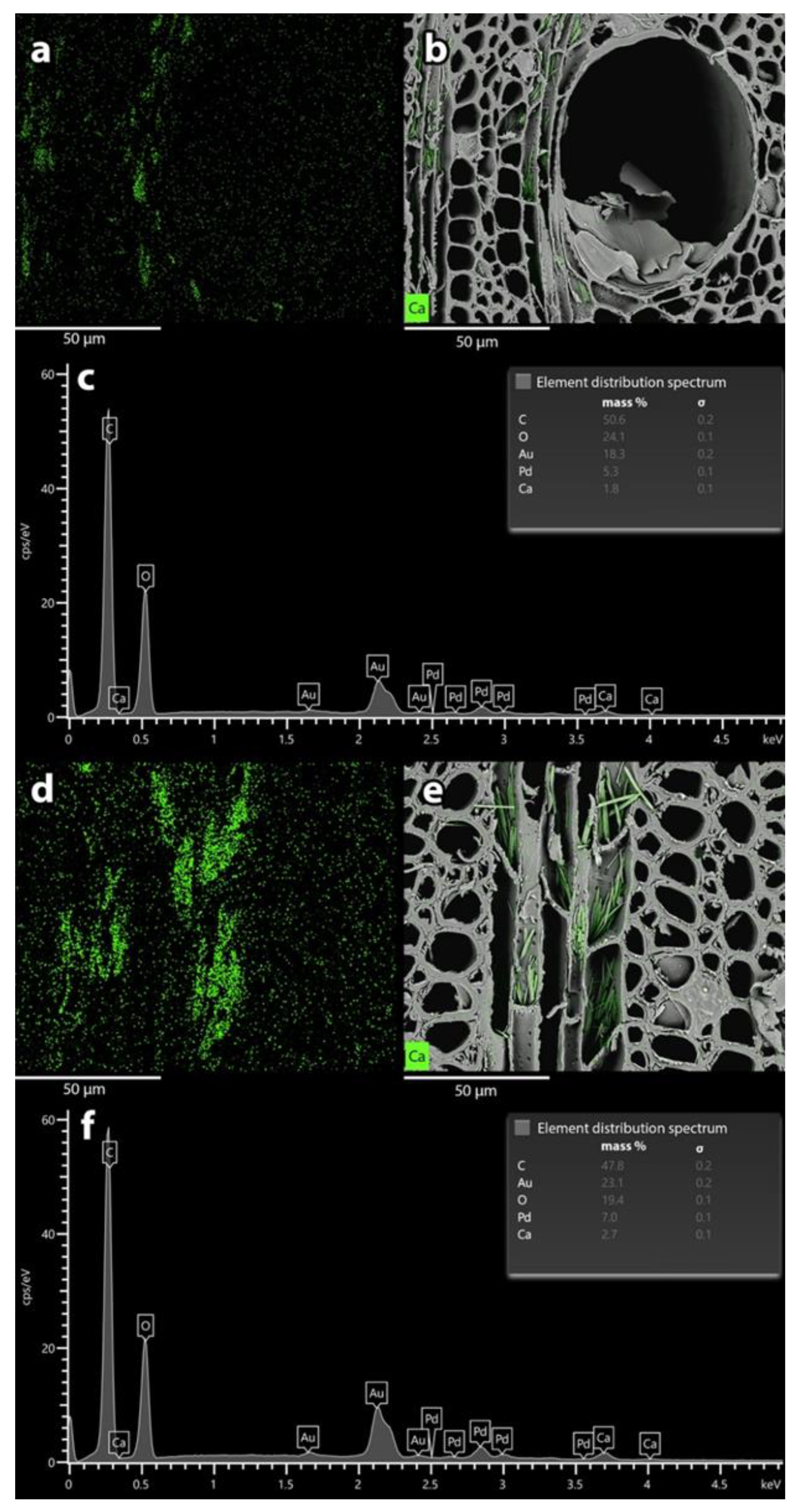 Forests 13 02036 g004 Forests 13 02036 g004