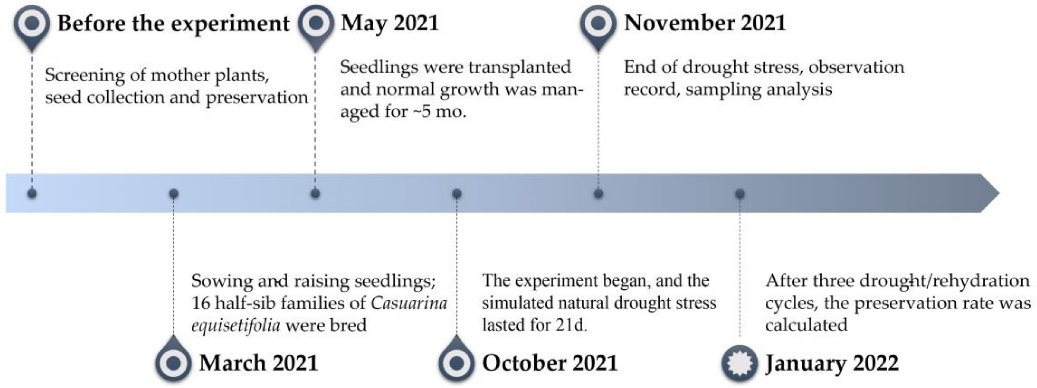 Forests 13 02037 g001 Forests 13 02037 g001