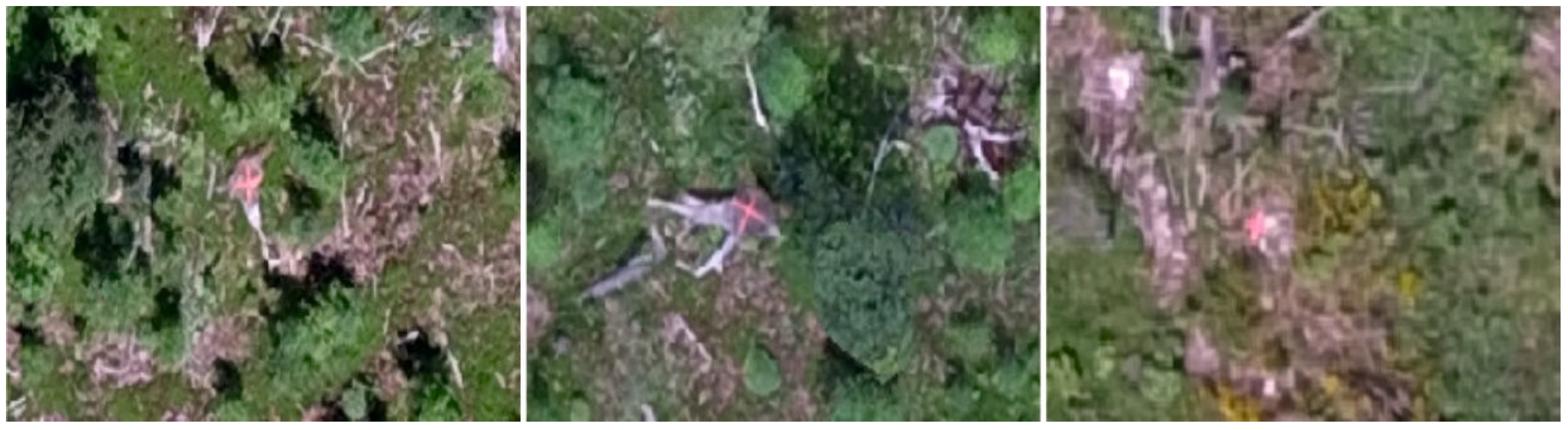 Forests 13 02054 g003 Forests 13 02054 g003