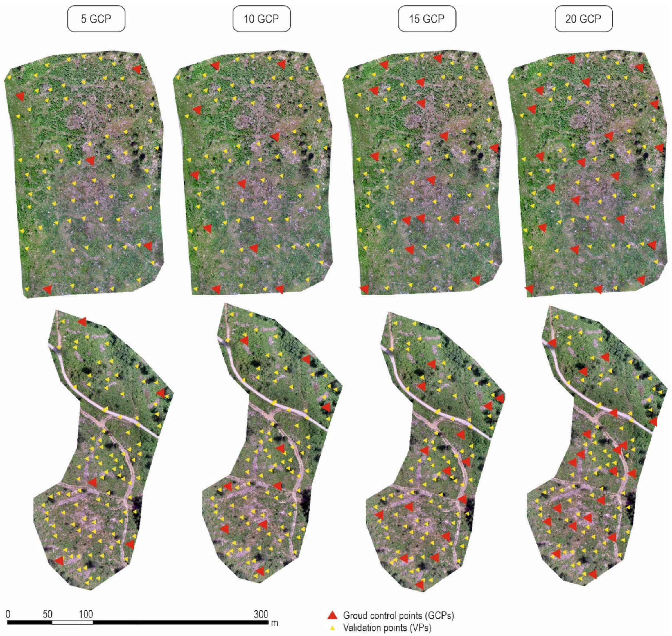 Forests 13 02054 g004 Forests 13 02054 g004