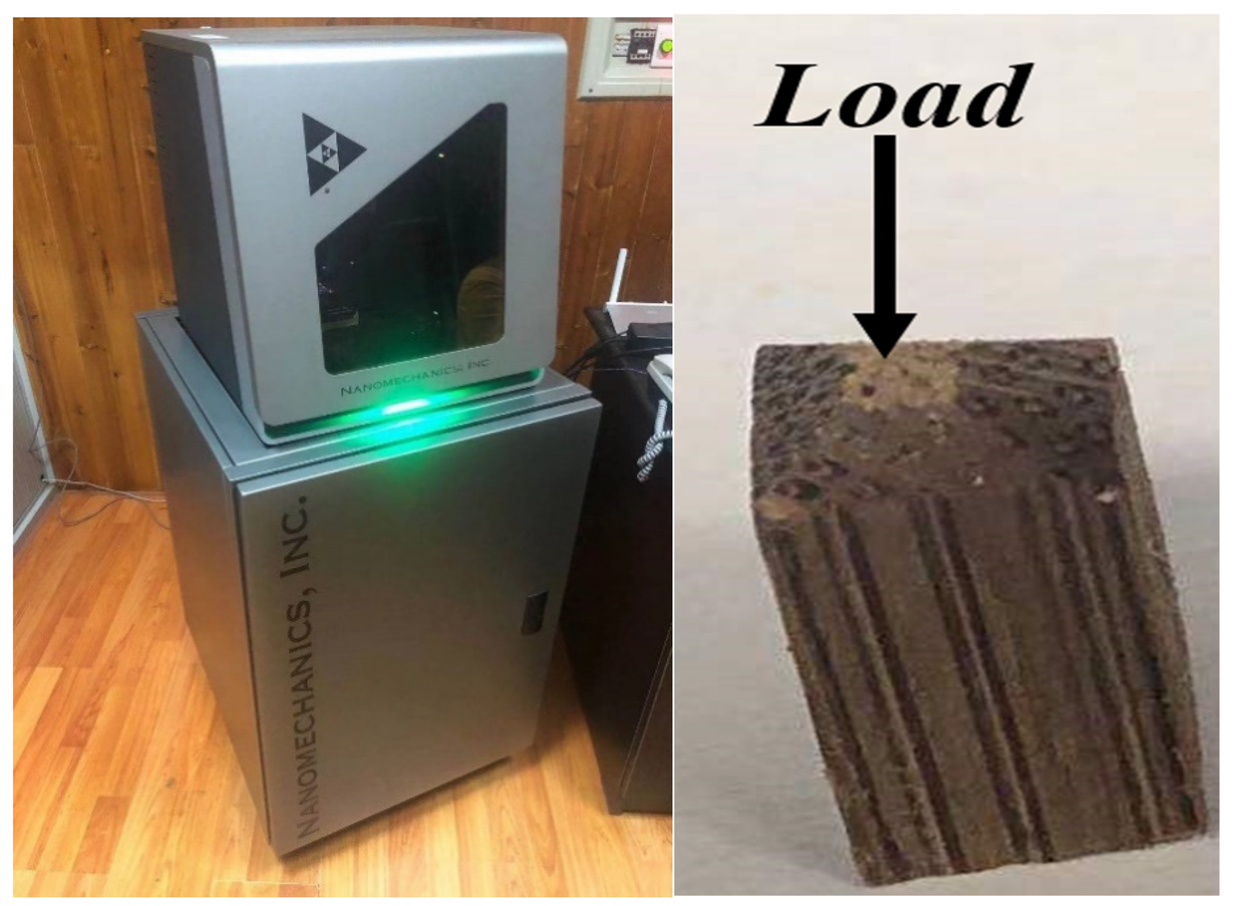 Forests 13 02059 g002 Forests 13 02059 g002