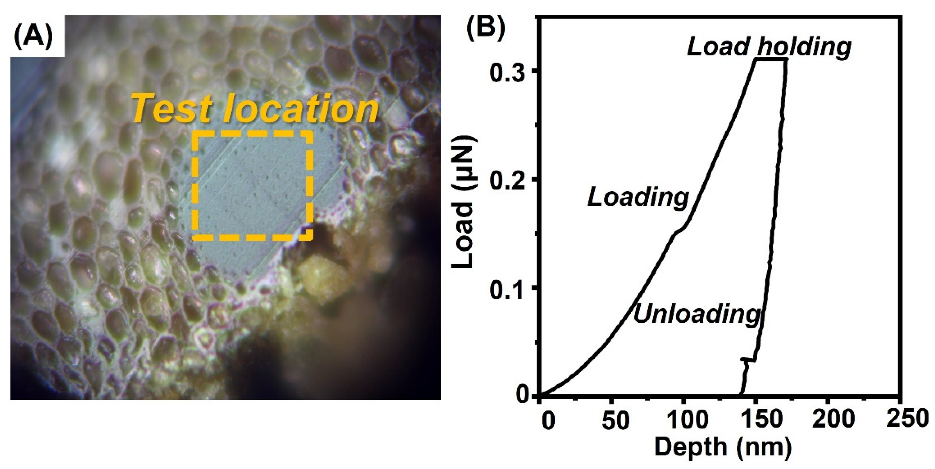 Forests 13 02059 g003 Forests 13 02059 g003