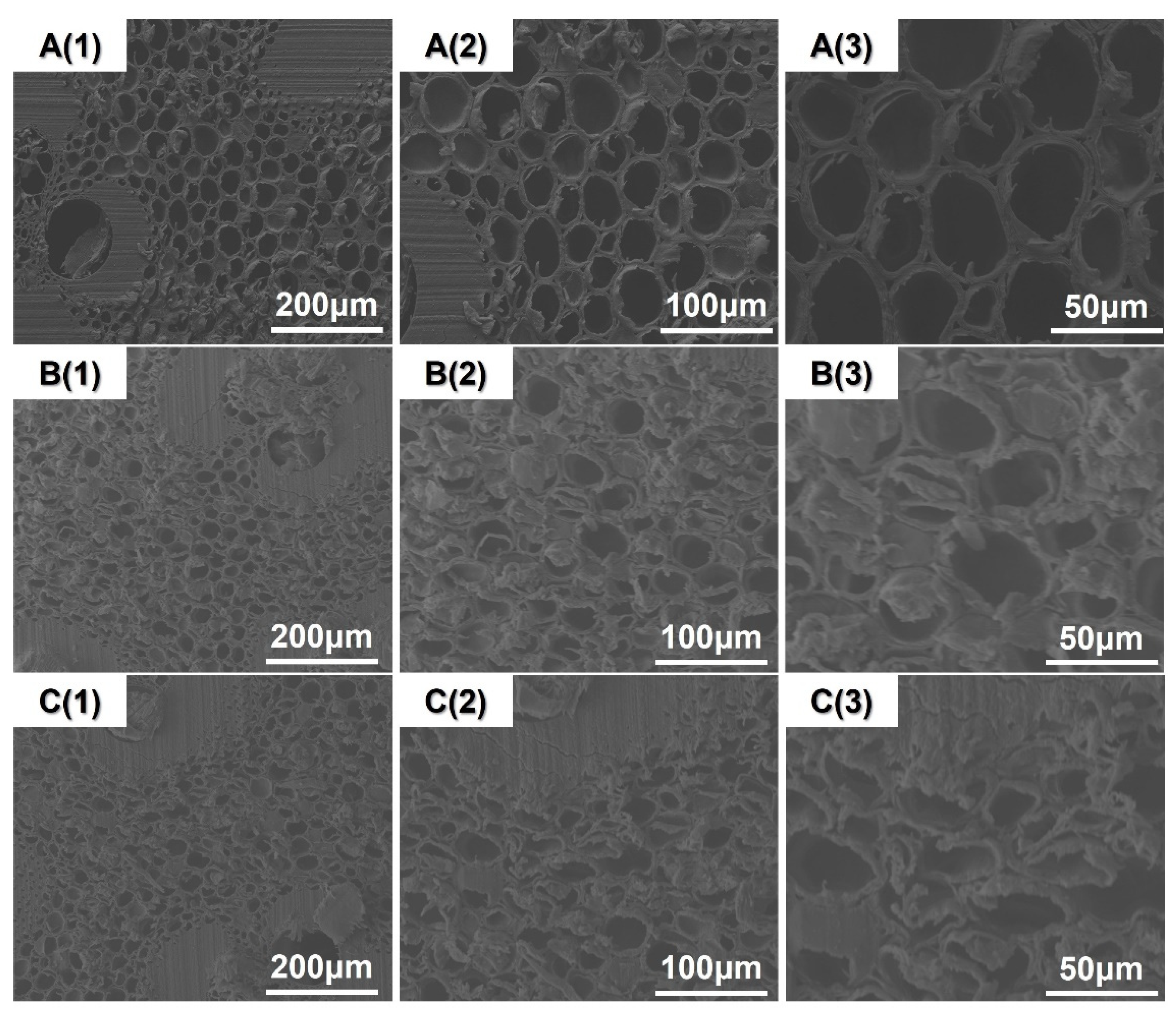 Forests 13 02059 g004 Forests 13 02059 g004
