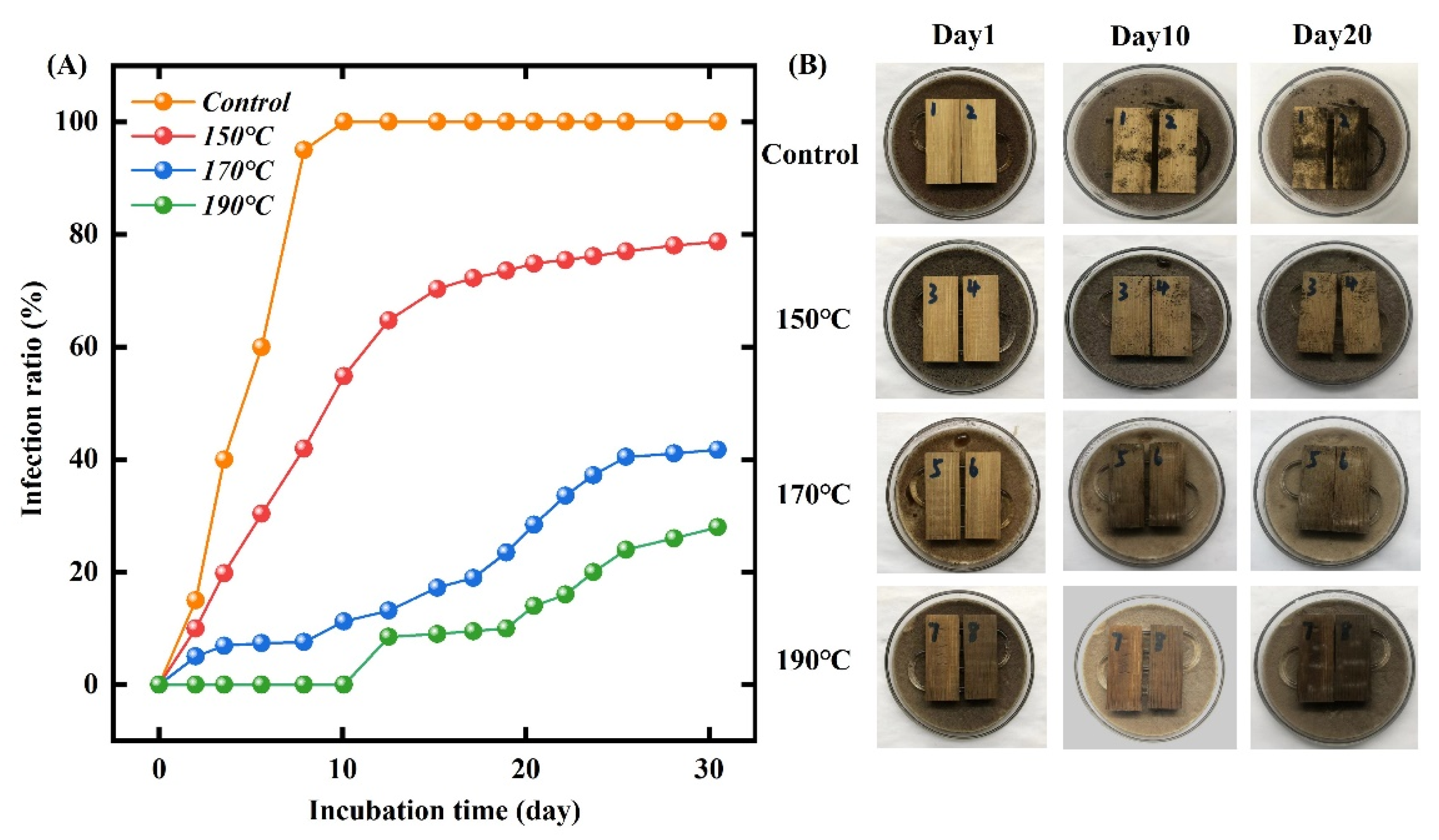 Forests 13 02059 g011 Forests 13 02059 g011