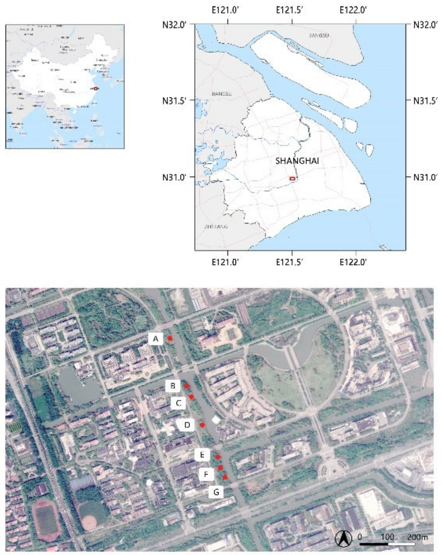 Forests 13 02062 g001 Forests 13 02062 g001