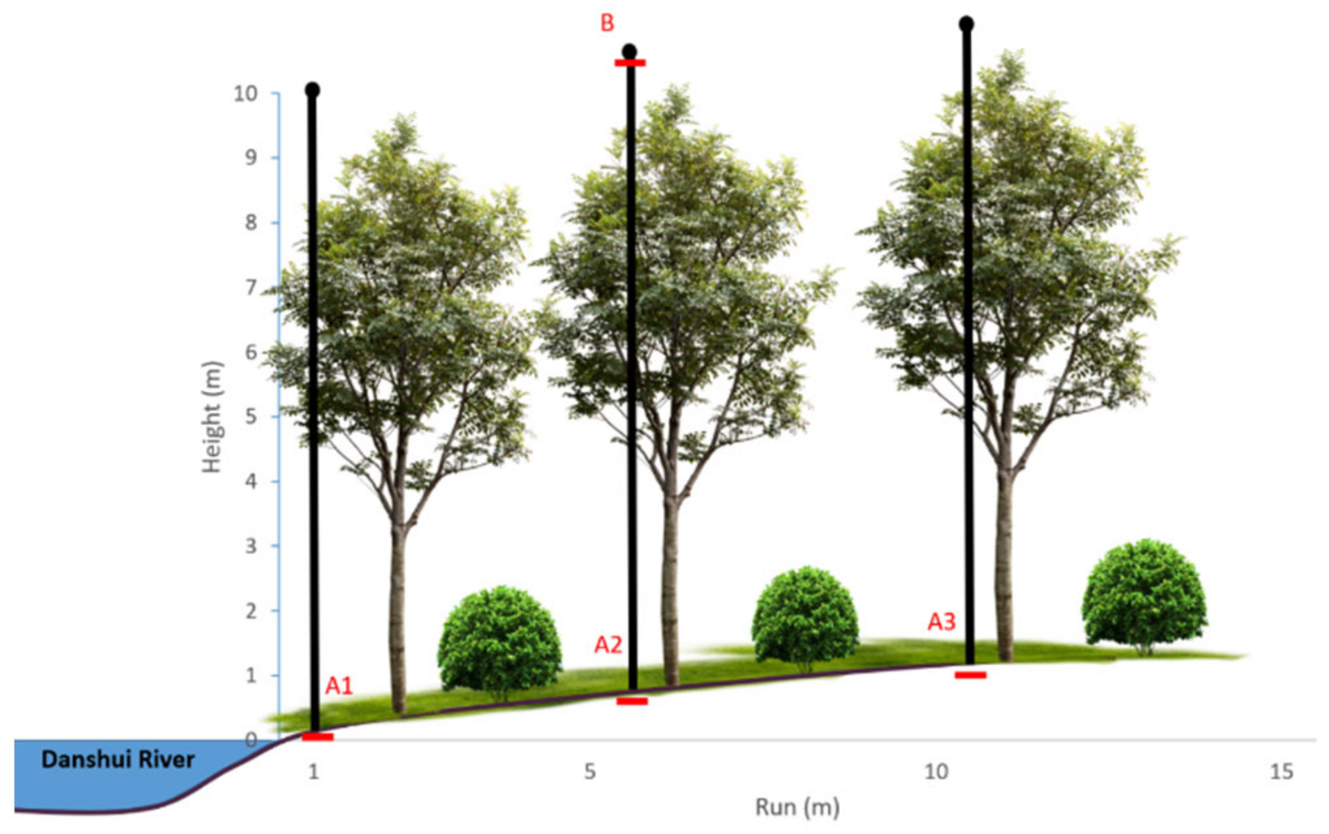 Forests 13 02062 g002 Forests 13 02062 g002