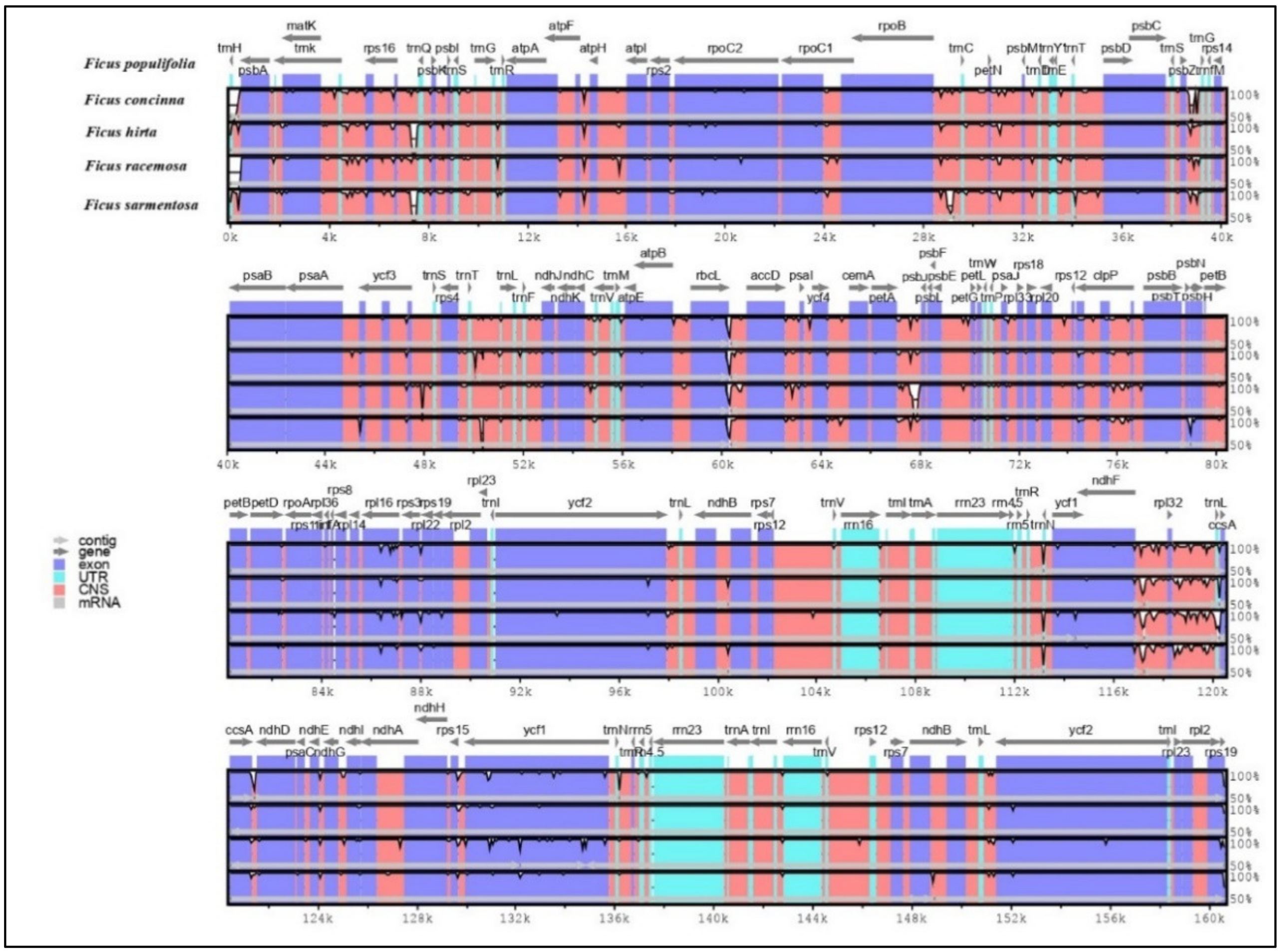 Forests 13 02063 g011
