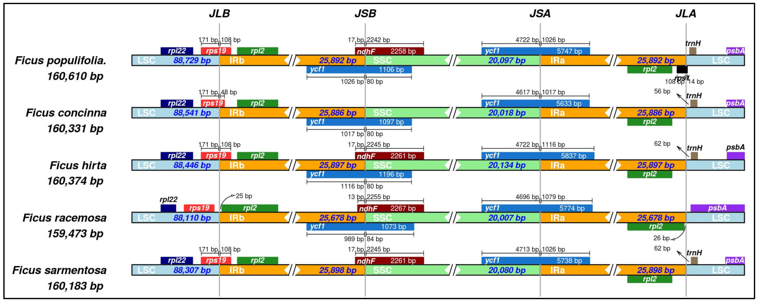 Forests 13 02063 g012