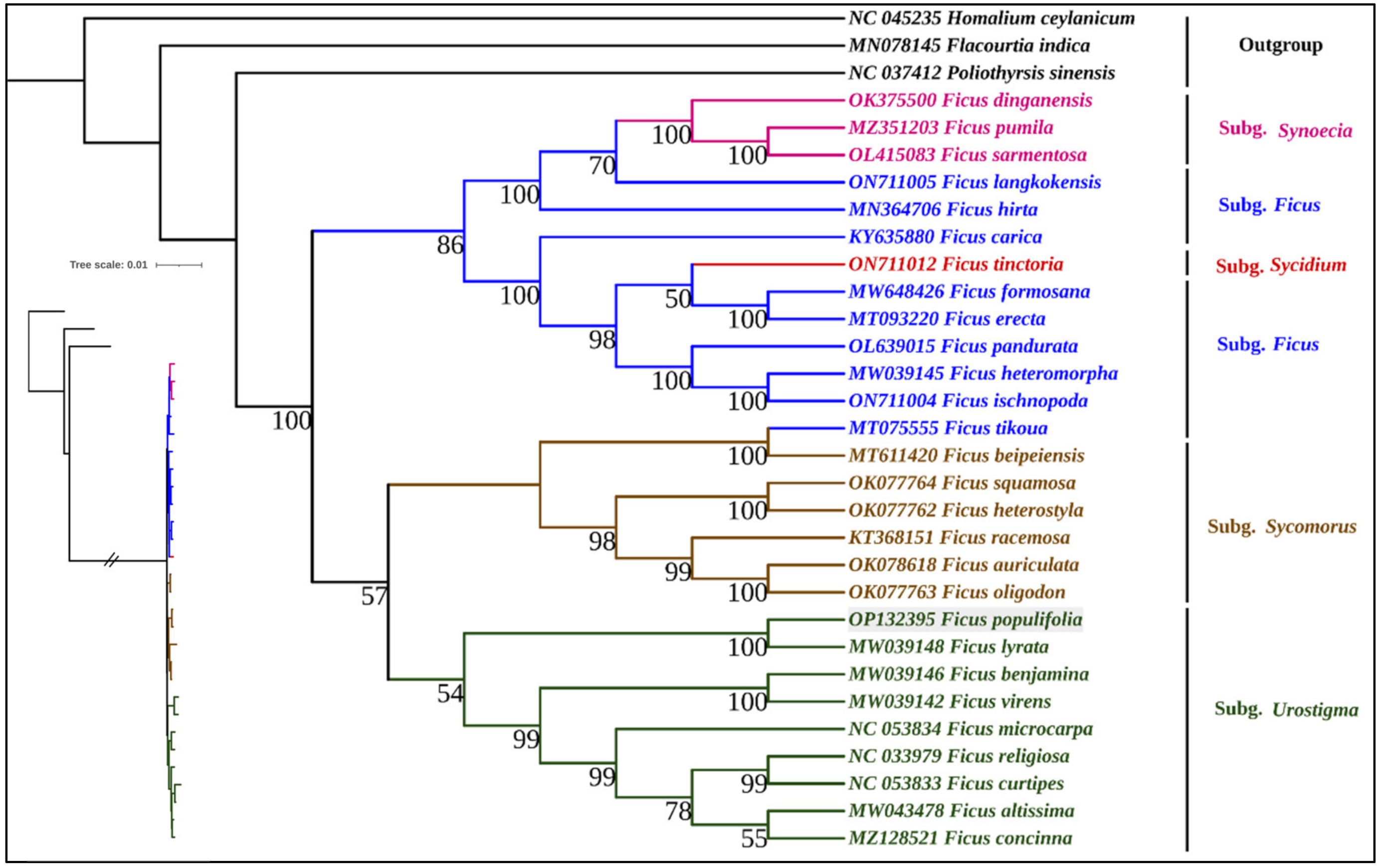 Forests 13 02063 g014