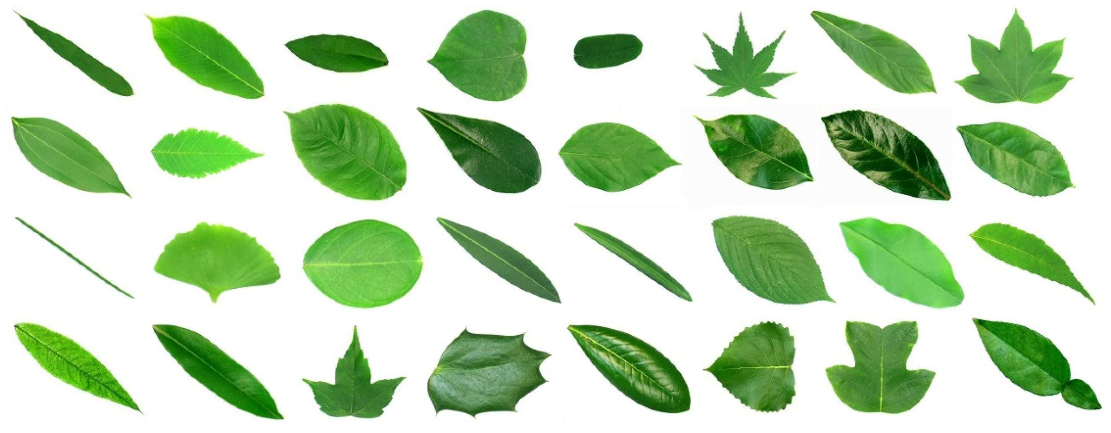 Forests 13 02072 g018