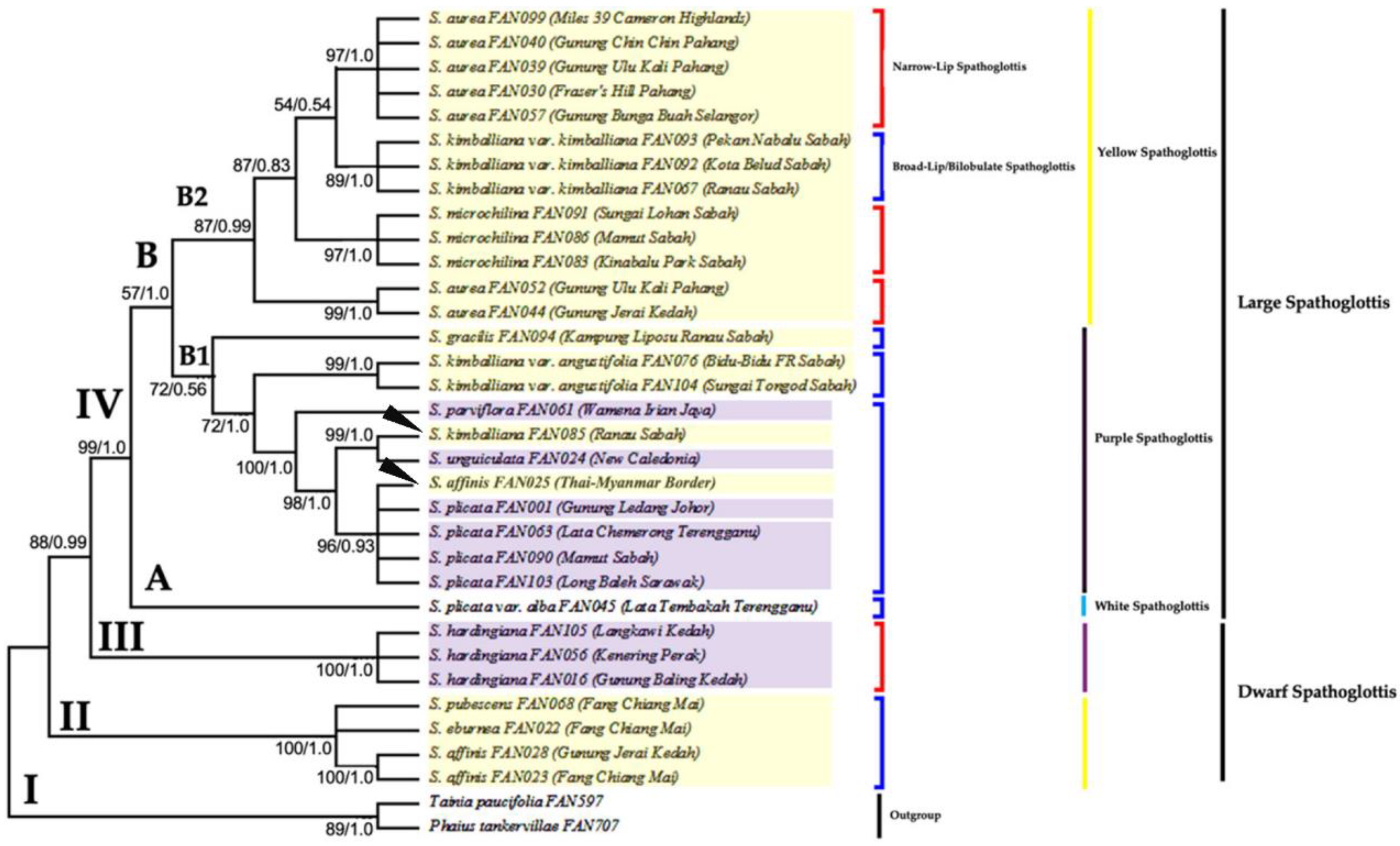 Forests 13 02079 g002 Forests 13 02079 g002