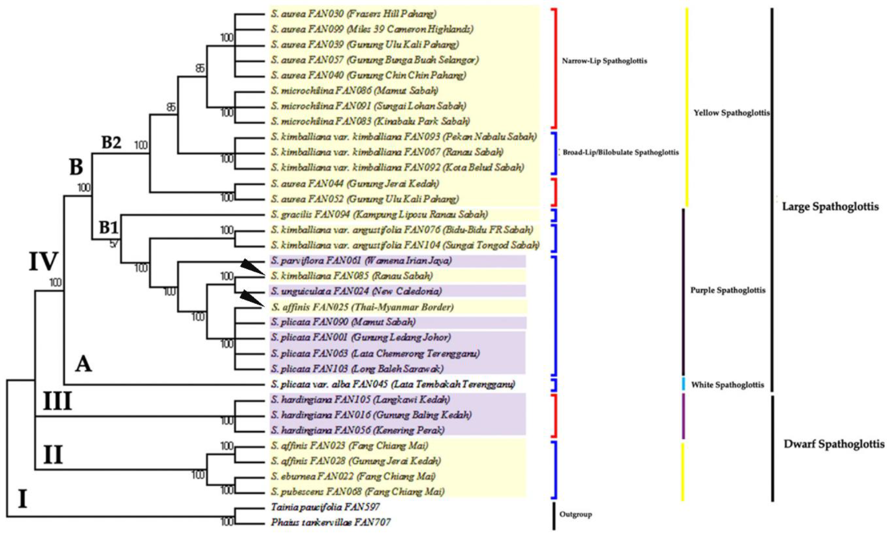 Forests 13 02079 g003 Forests 13 02079 g003