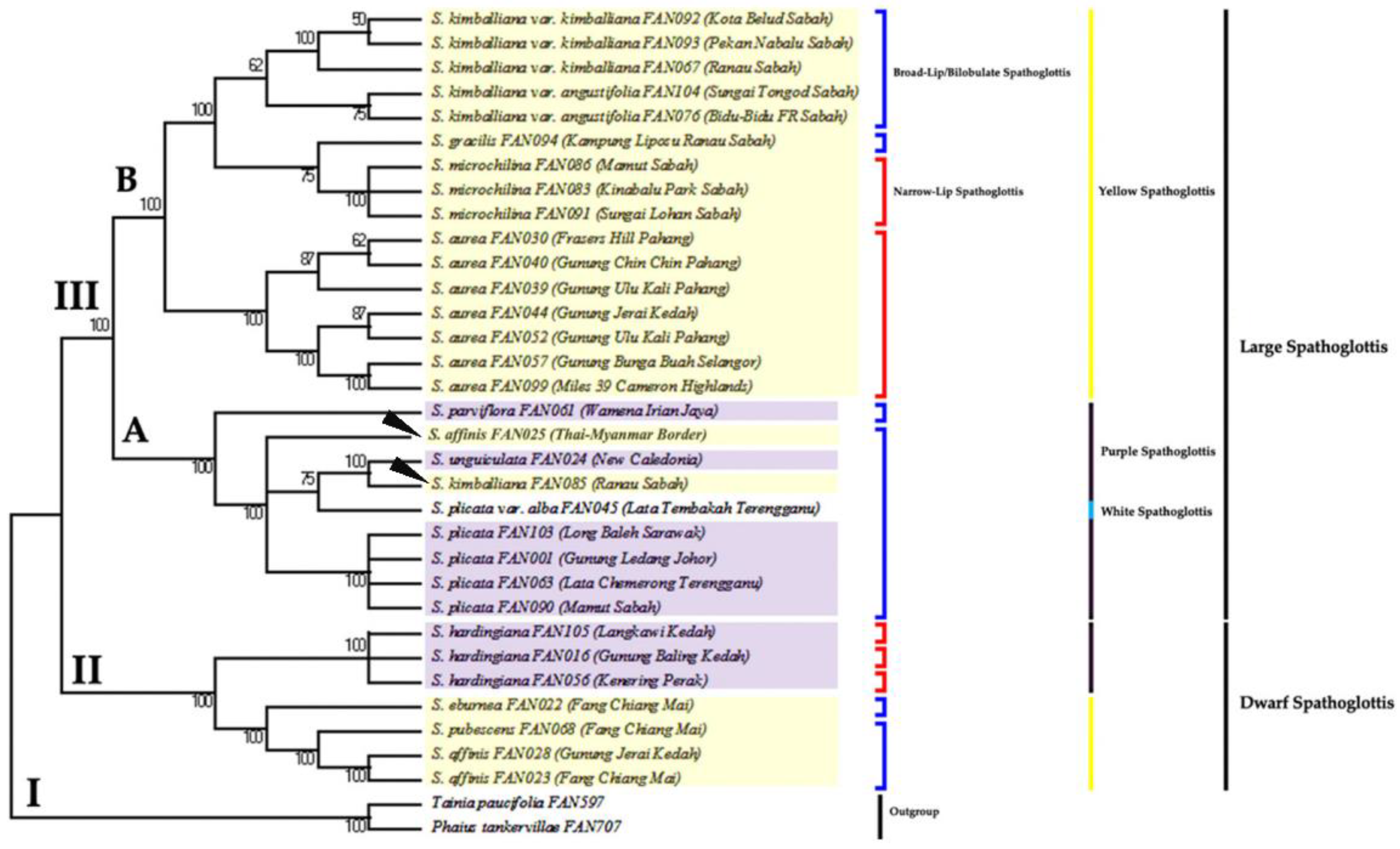 Forests 13 02079 g005 Forests 13 02079 g005