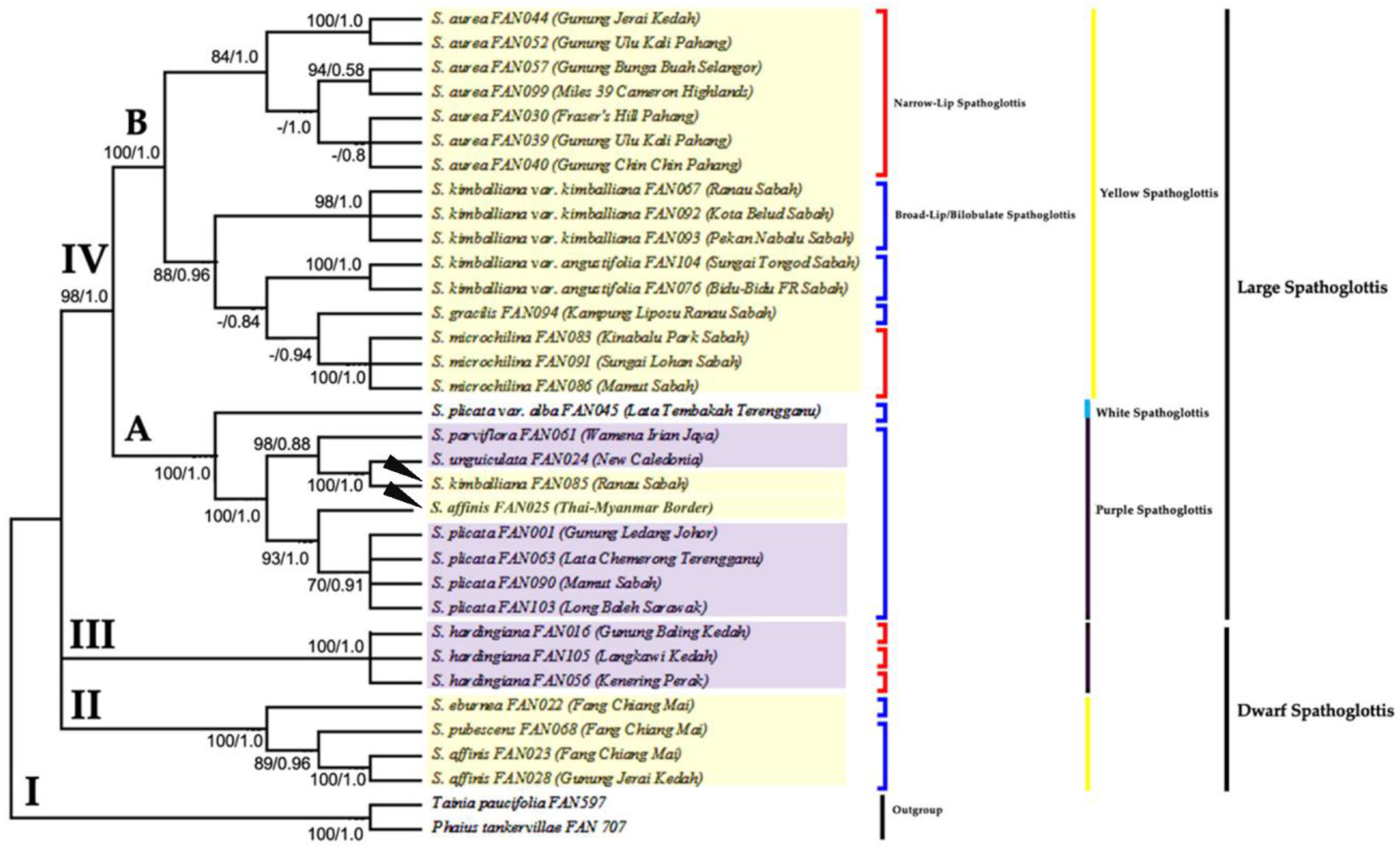 Forests 13 02079 g006 Forests 13 02079 g006