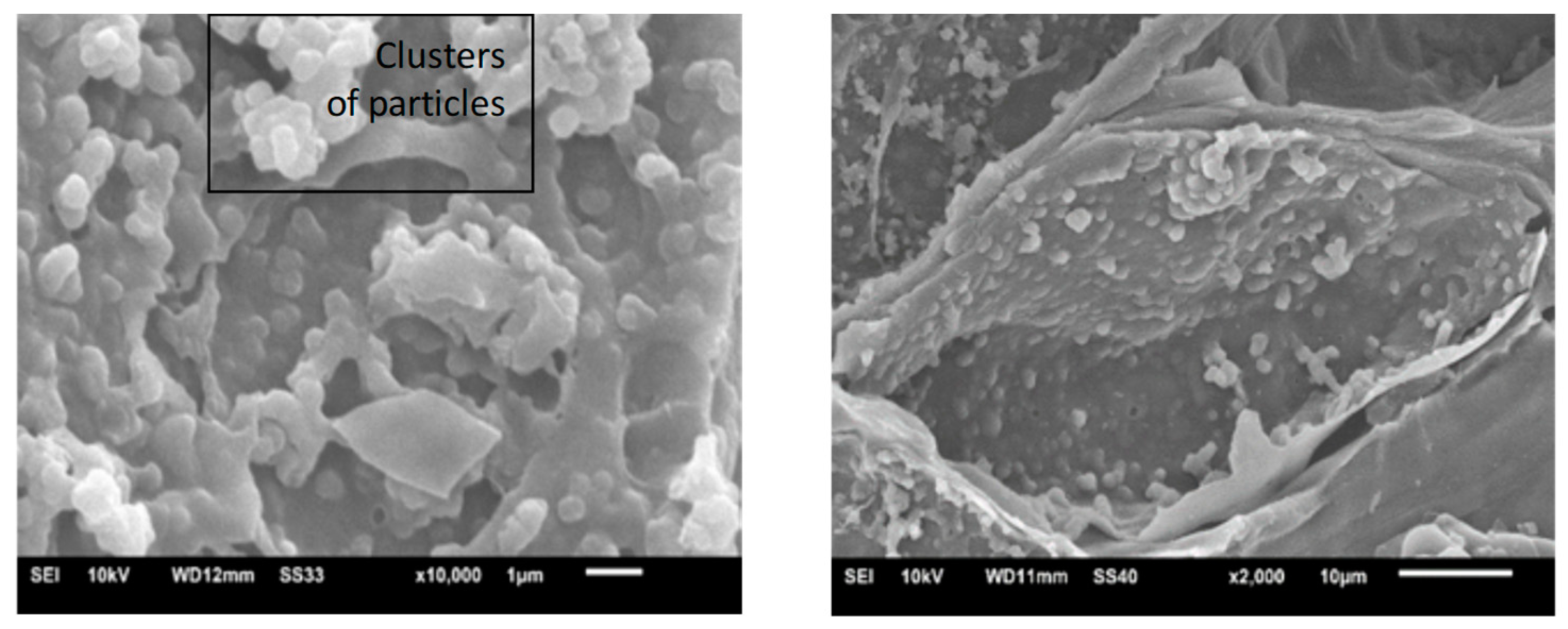 Forests 13 02080 g008
