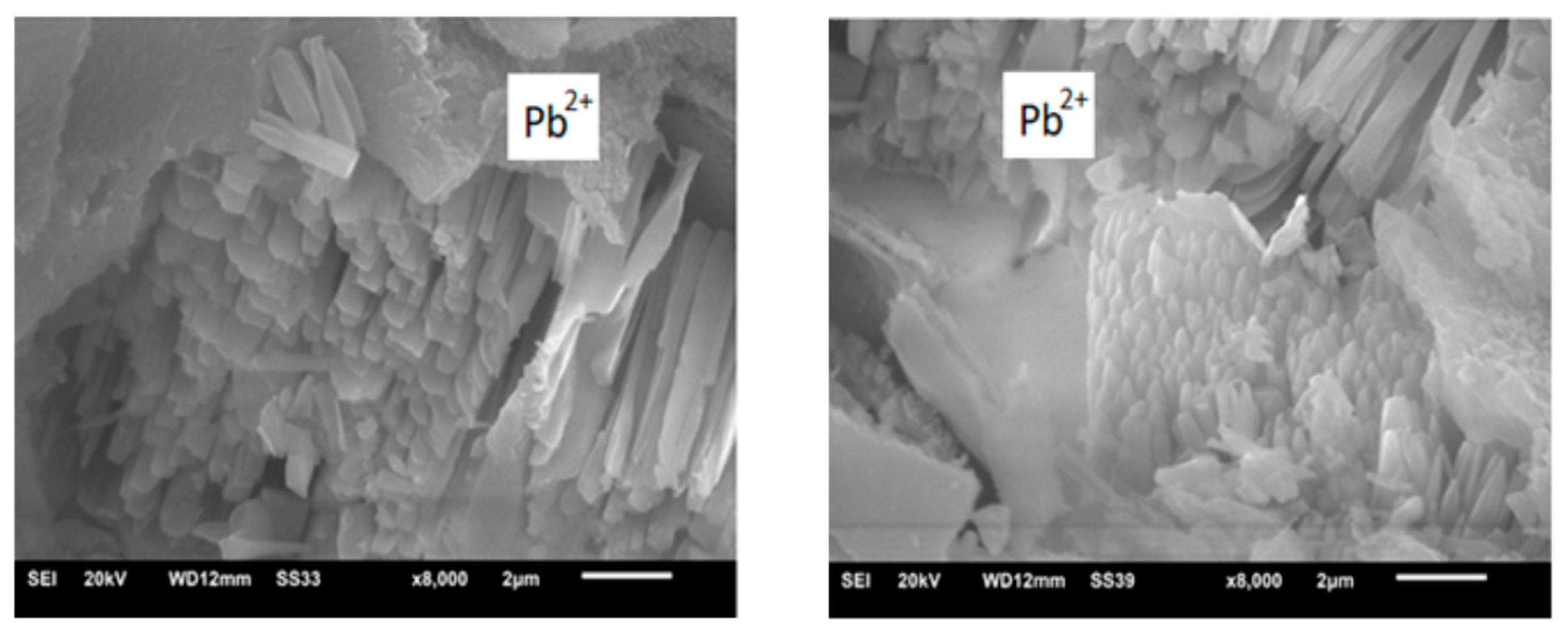 Forests 13 02080 g009