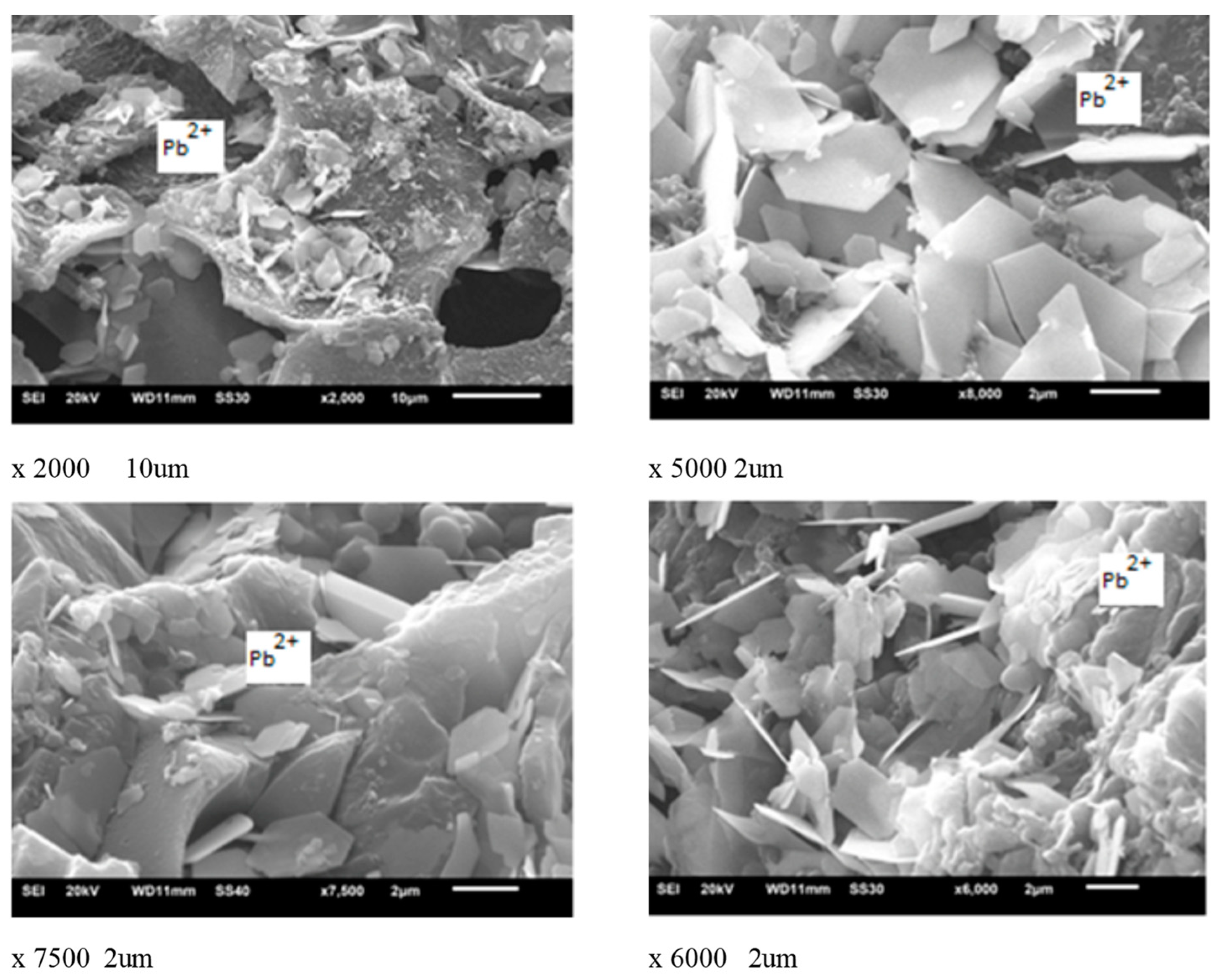 Forests 13 02080 g010