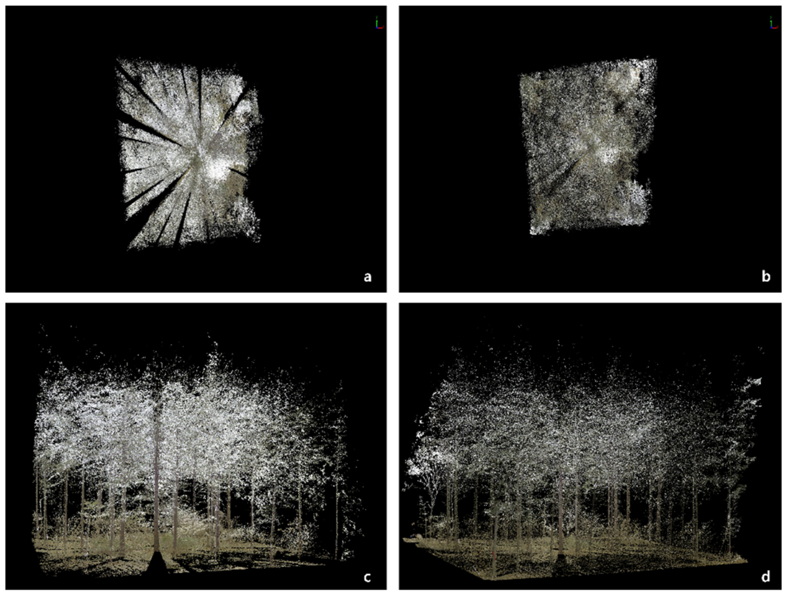 Forests 13 02087 g006