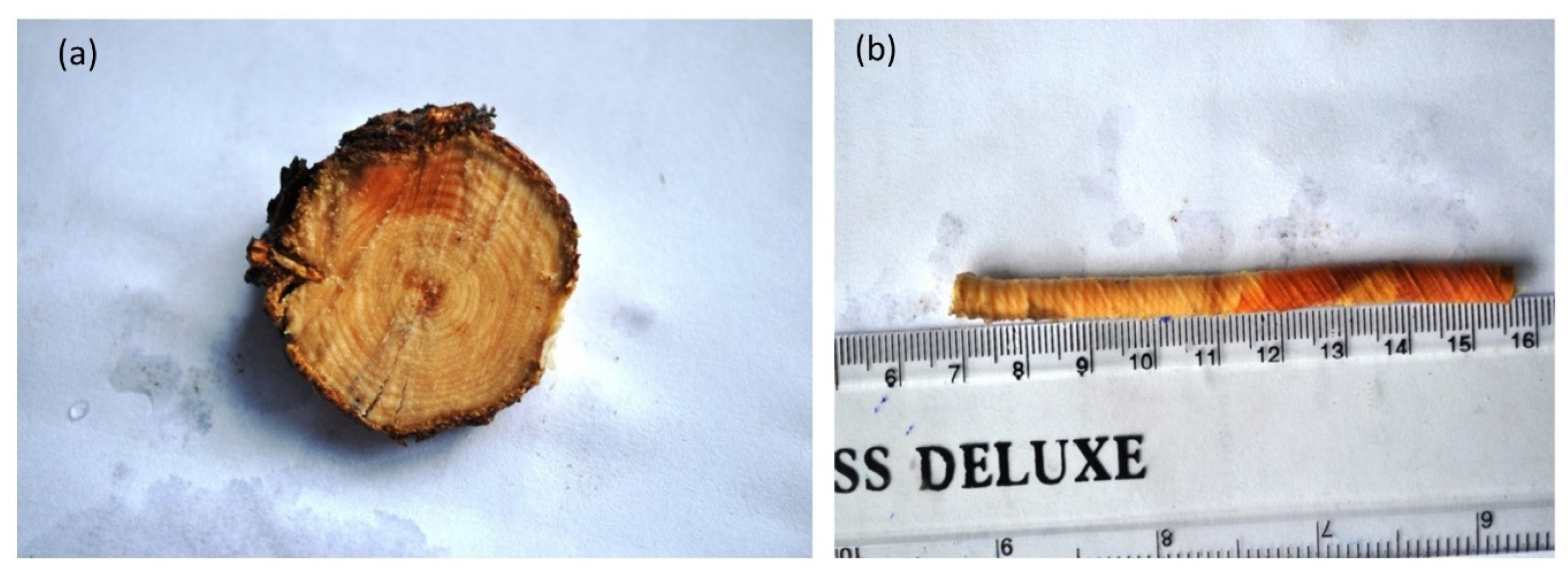 Forests 13 02088 g002