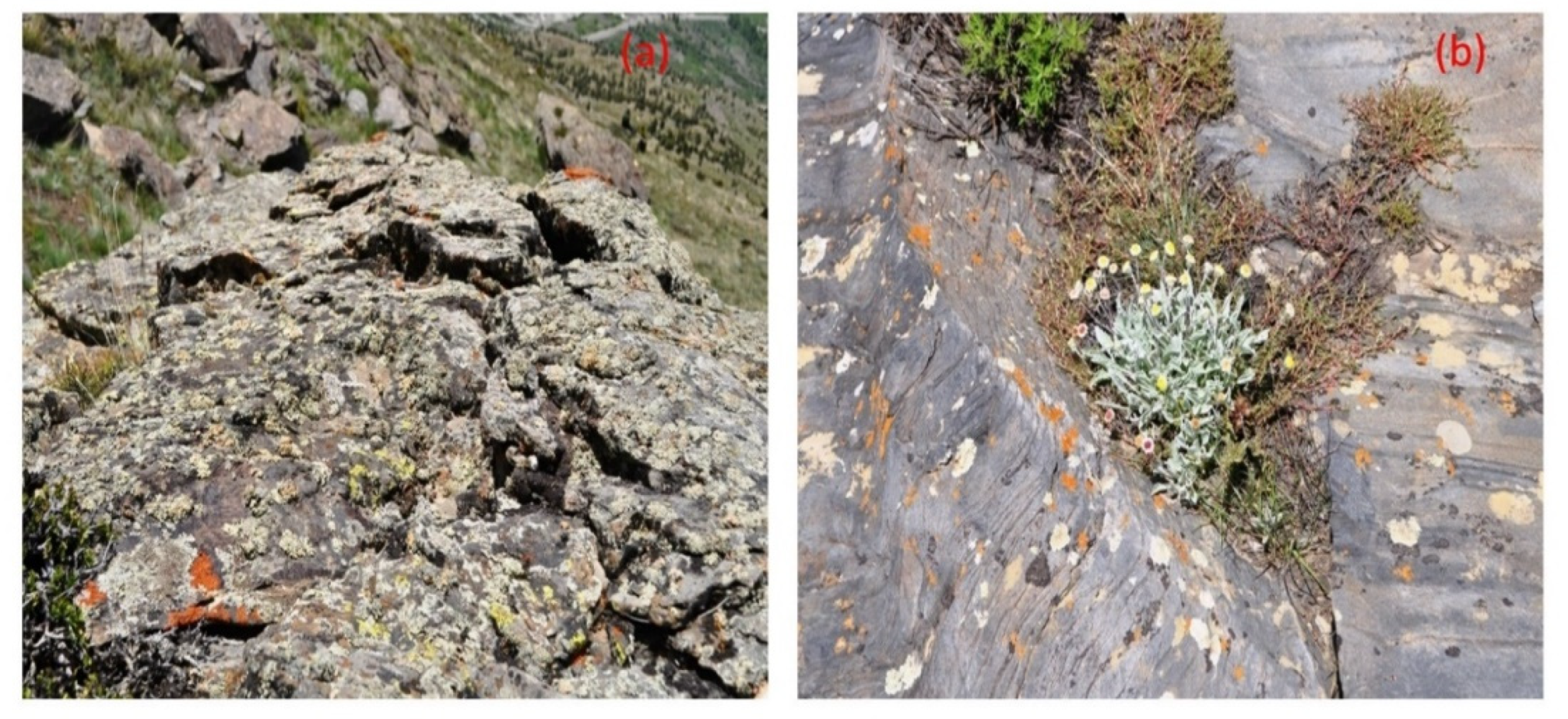 Forests 13 02088 g012