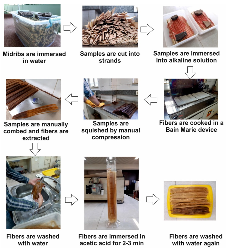 Forests 13 02098 g001 Forests 13 02098 g001