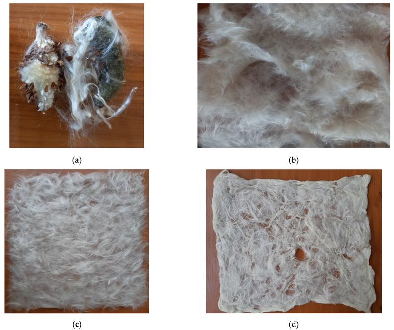 Forests 13 02098 g002 Forests 13 02098 g002