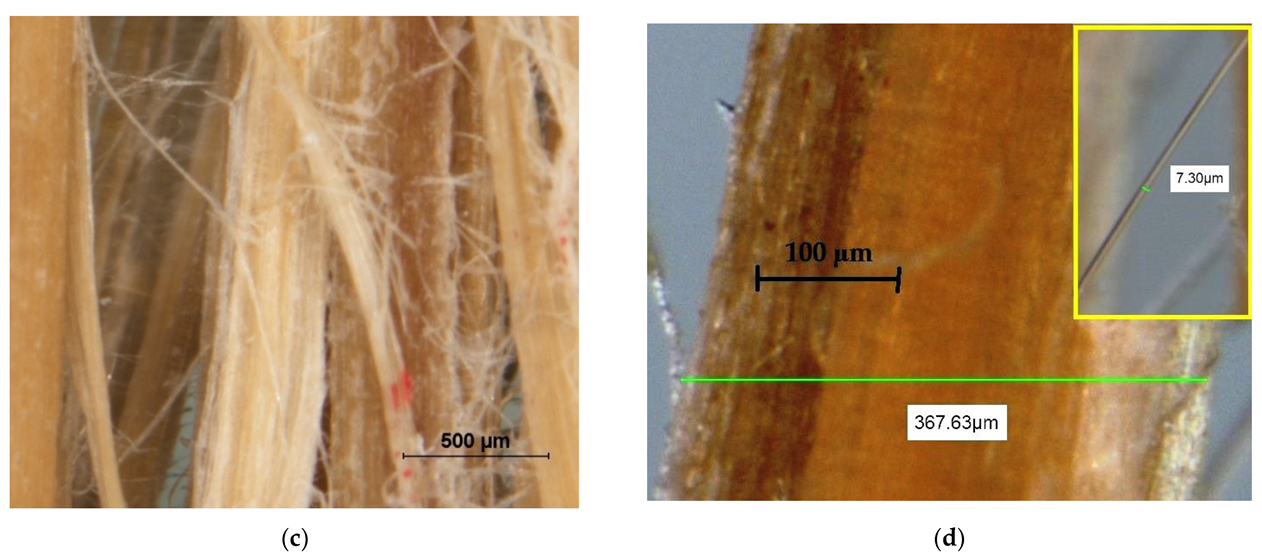 Forests 13 02098 g005b Forests 13 02098 g005b