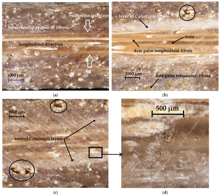 Forests 13 02098 g006 Forests 13 02098 g006