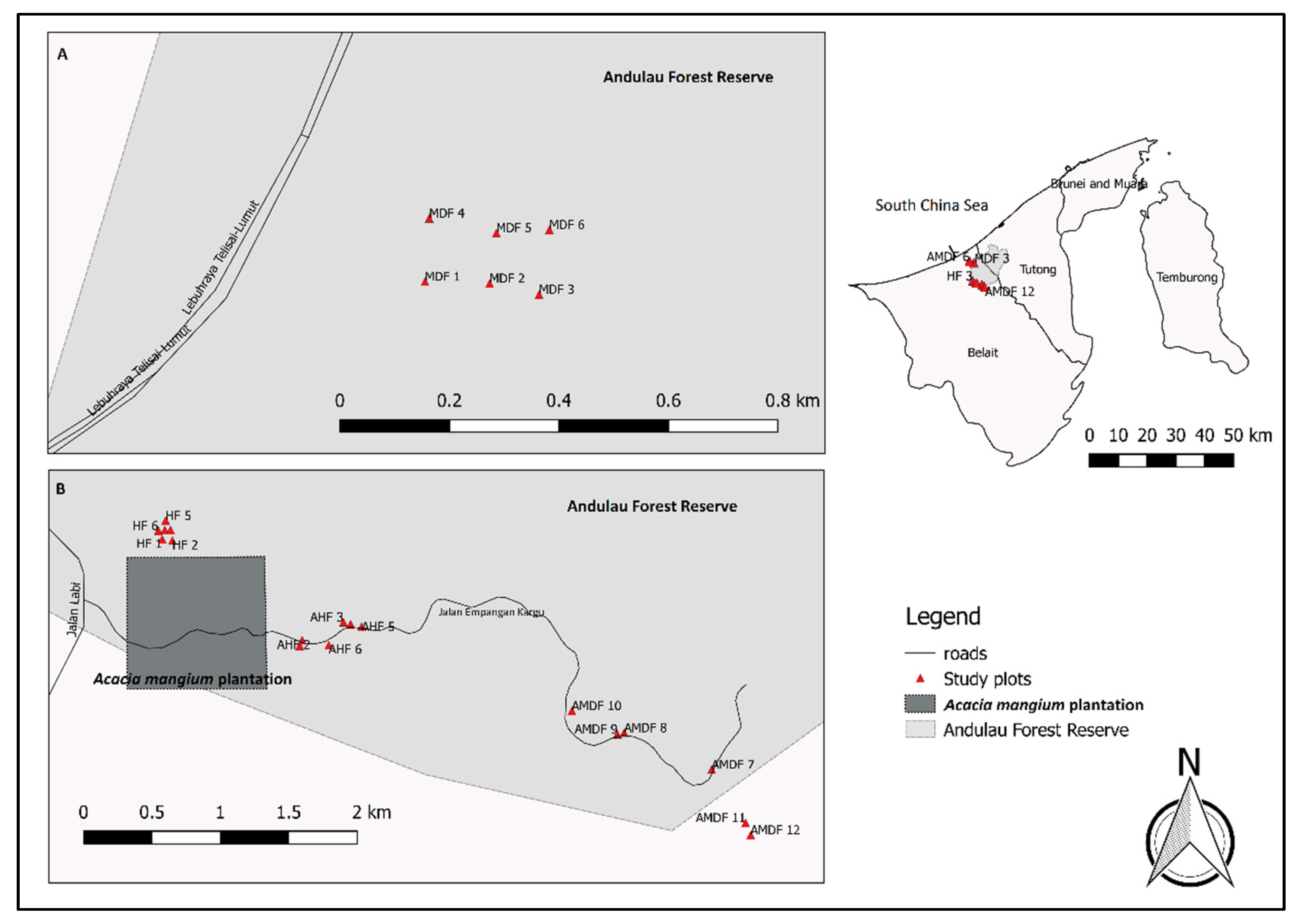 Forests 13 02101 g001 Forests 13 02101 g001