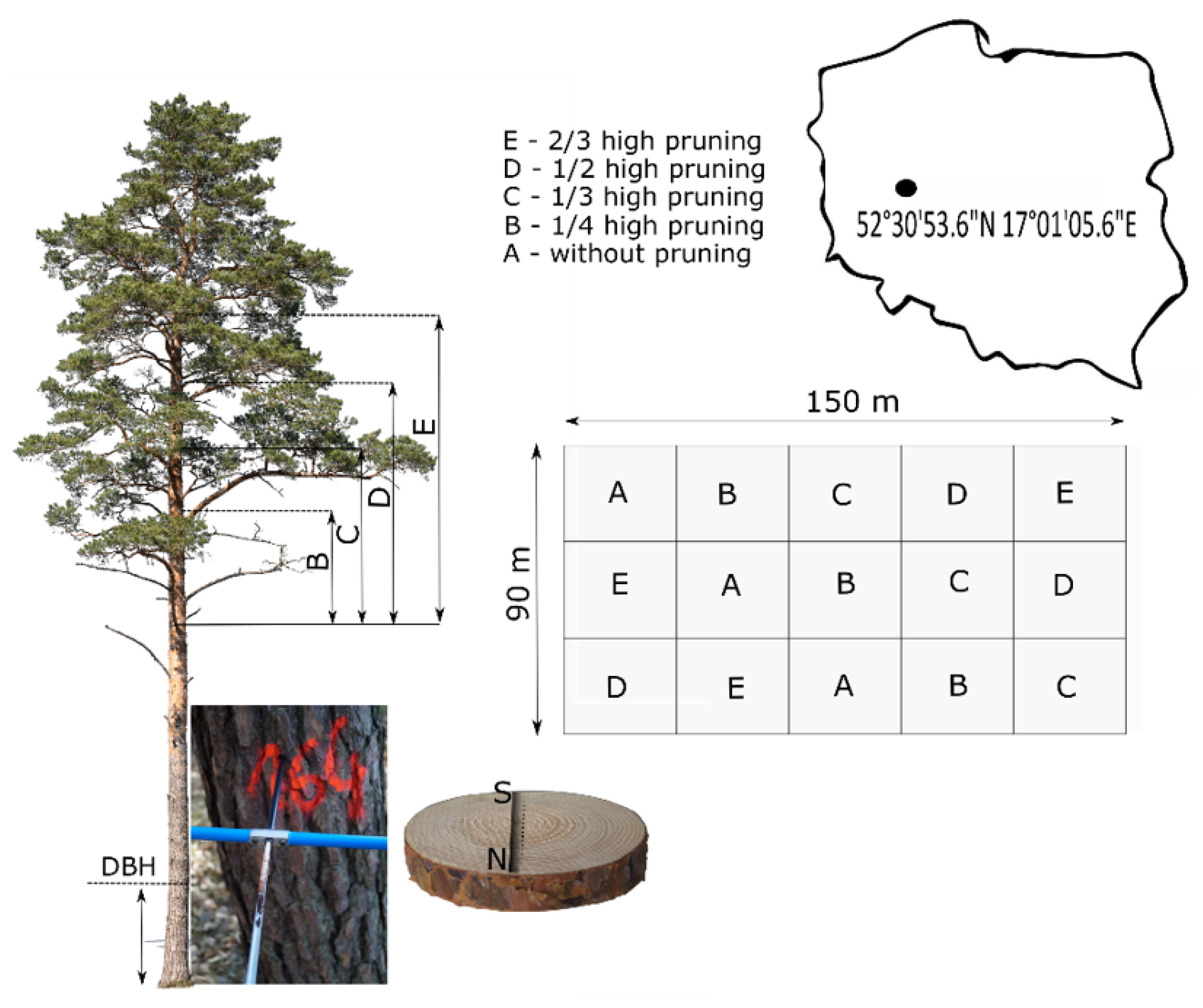 Forests 13 02103 g001 Forests 13 02103 g001