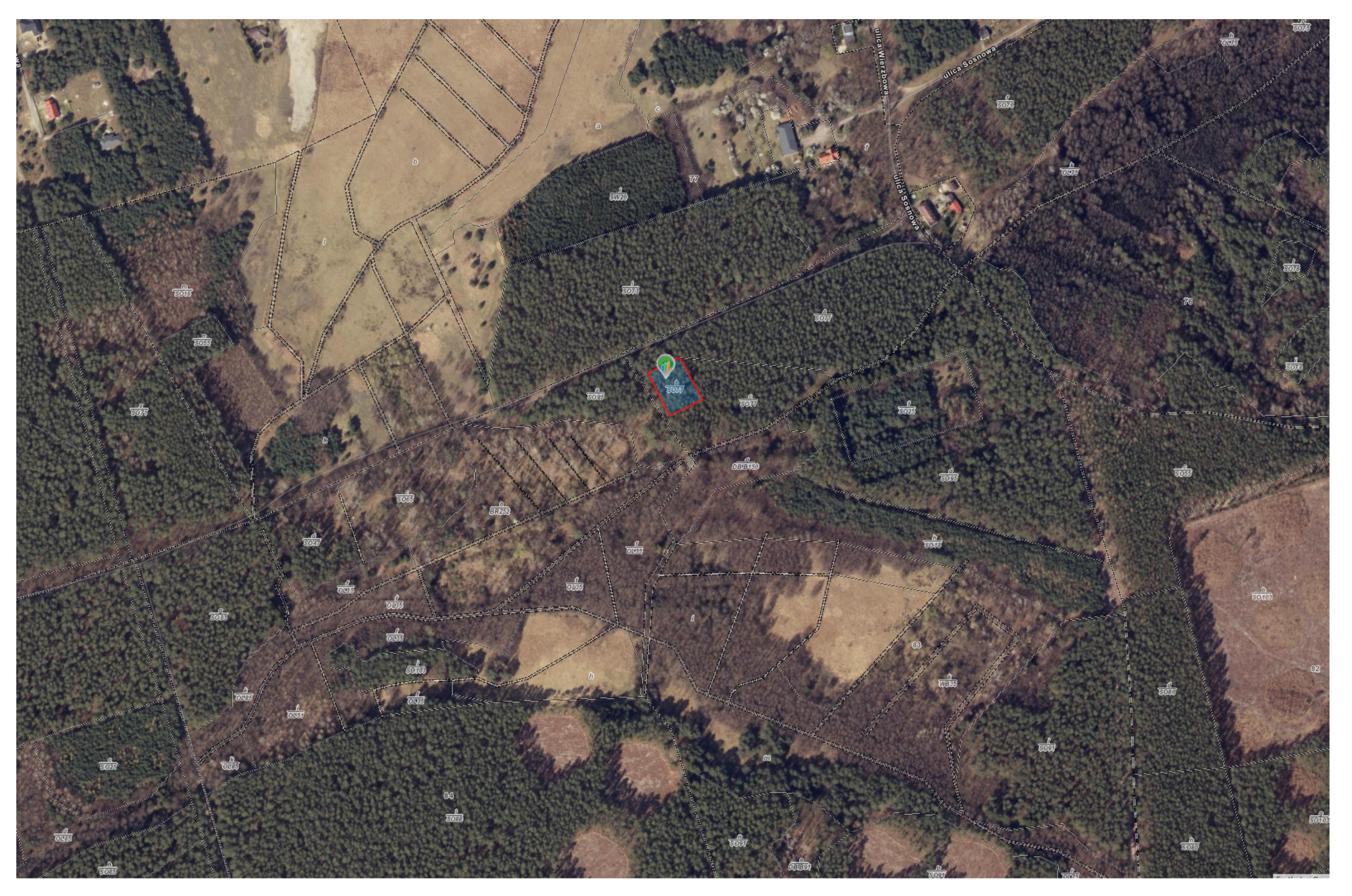 Forests 13 02103 g0a1 Forests 13 02103 g0a1