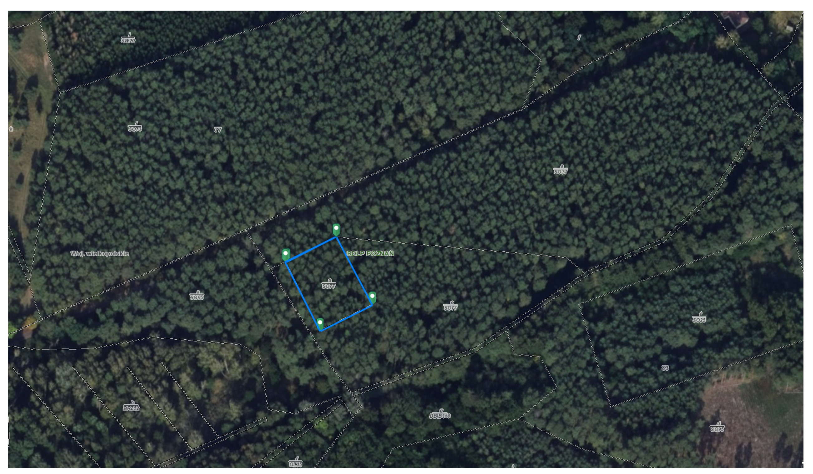 Forests 13 02103 g0a2 Forests 13 02103 g0a2