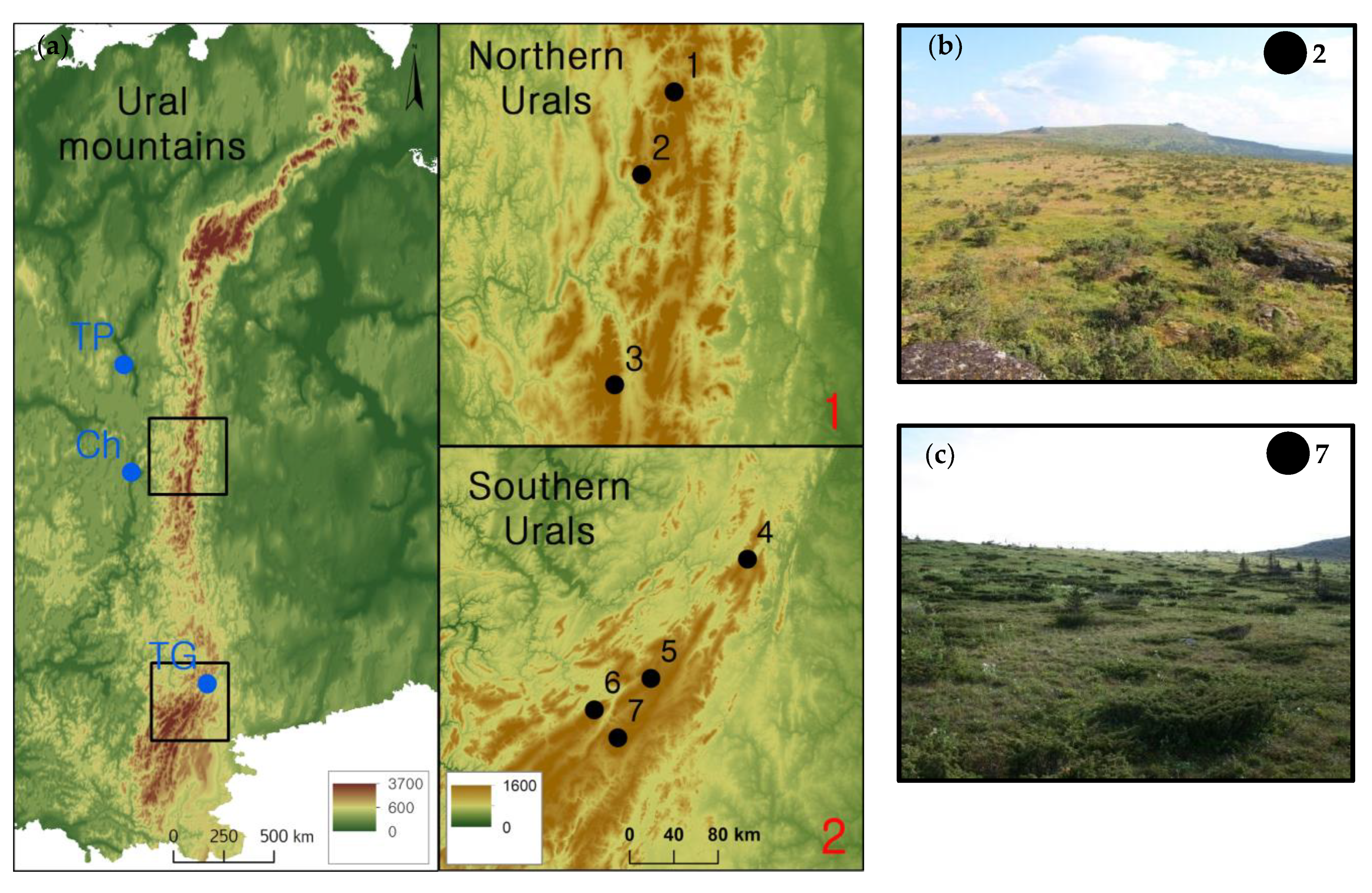 Forests 13 02106 g001 Forests 13 02106 g001