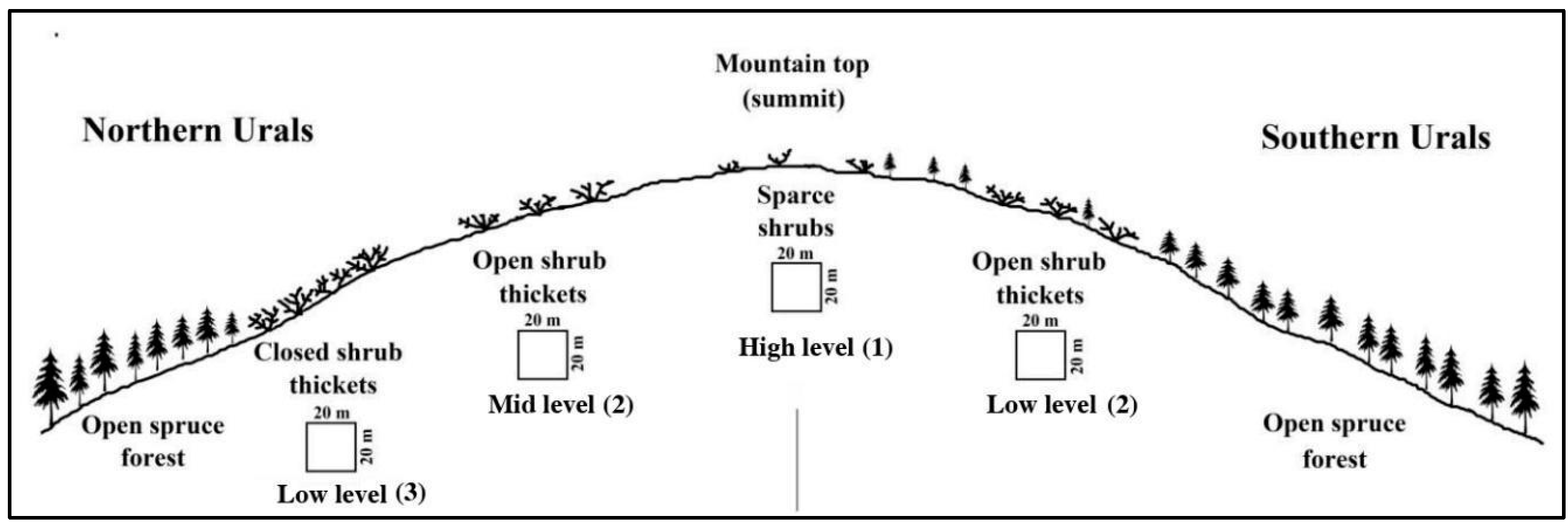 Forests 13 02106 g003 Forests 13 02106 g003