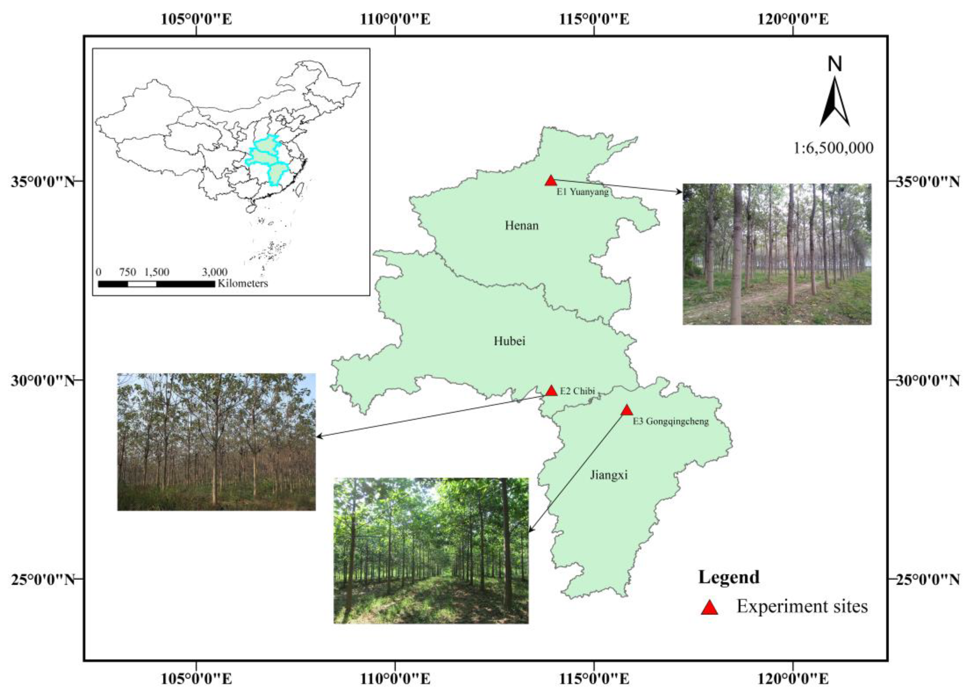 Forests 13 02113 g001 Forests 13 02113 g001