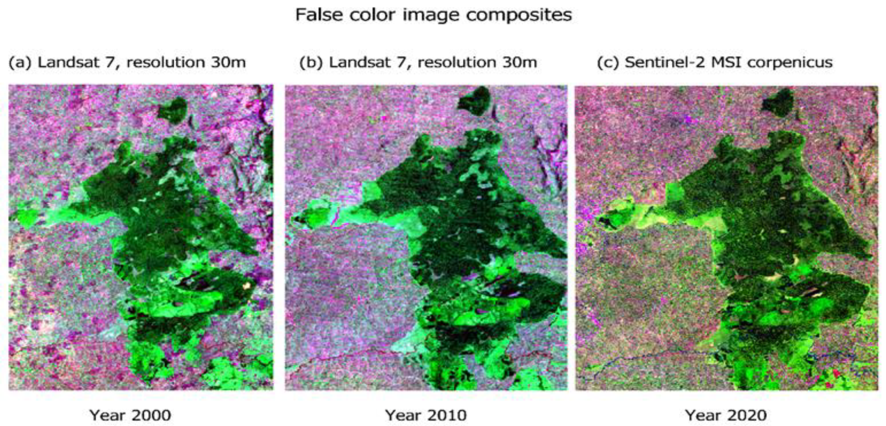 Forests 13 02127 g002 Forests 13 02127 g002