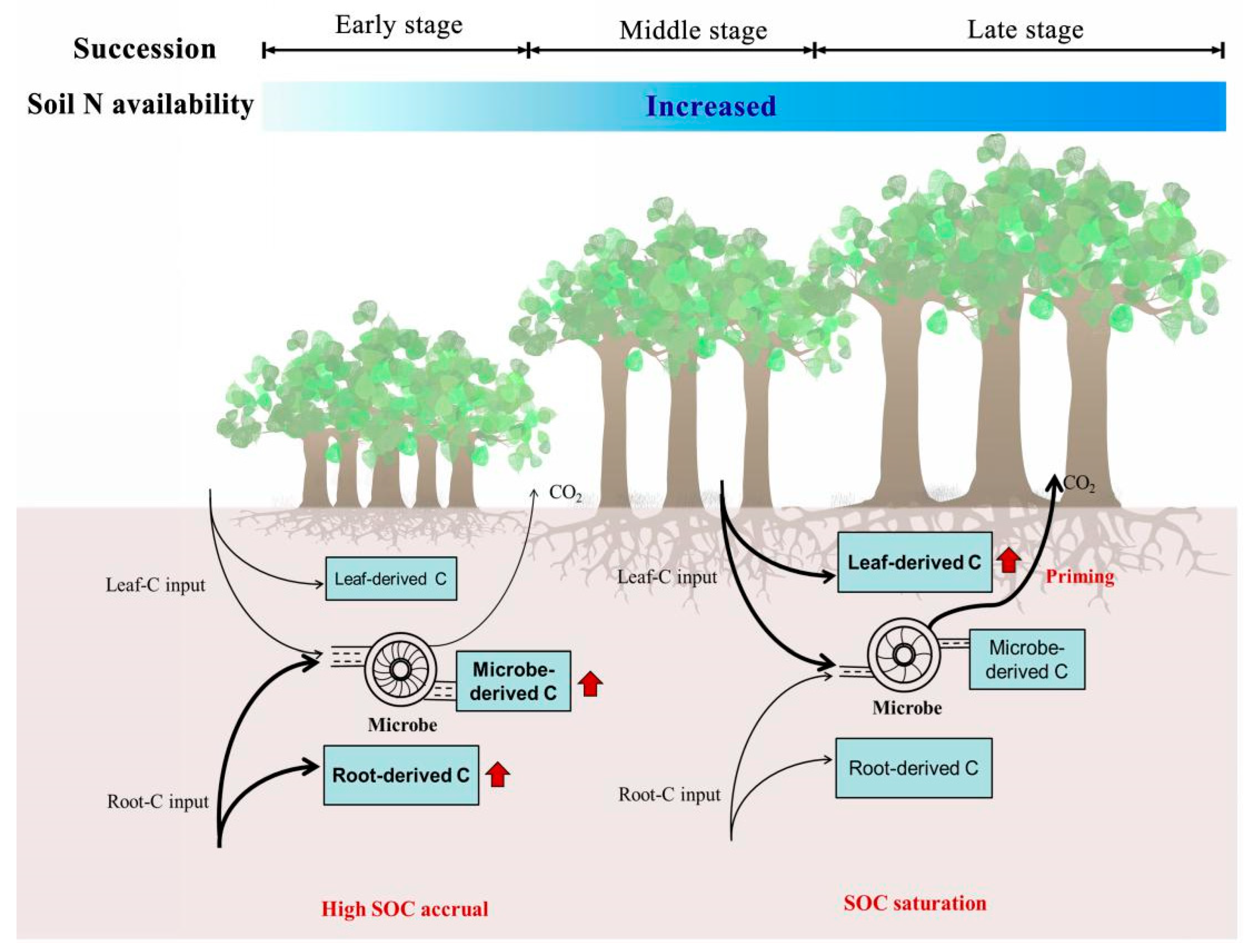 Forests 13 02130 g007