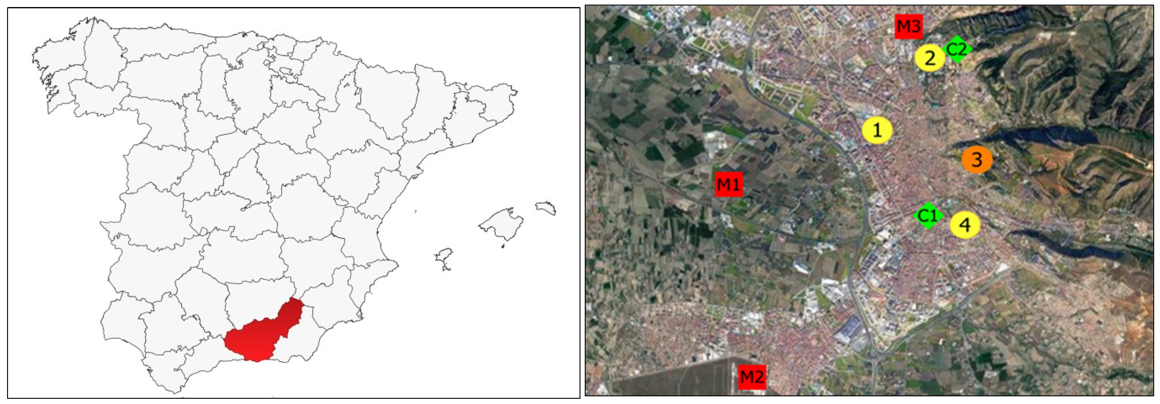 Forests 13 02131 g001