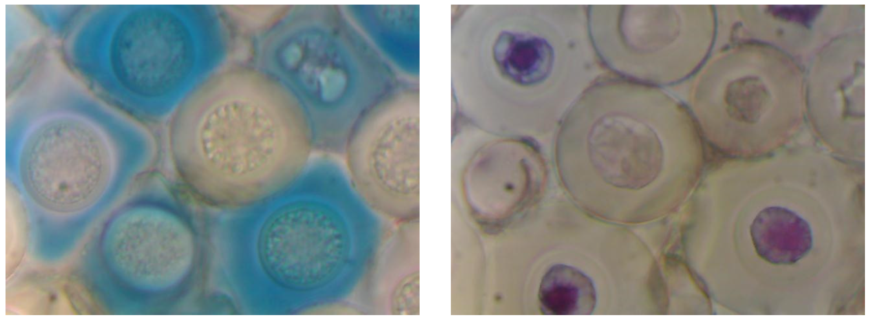 Forests 13 02131 g002